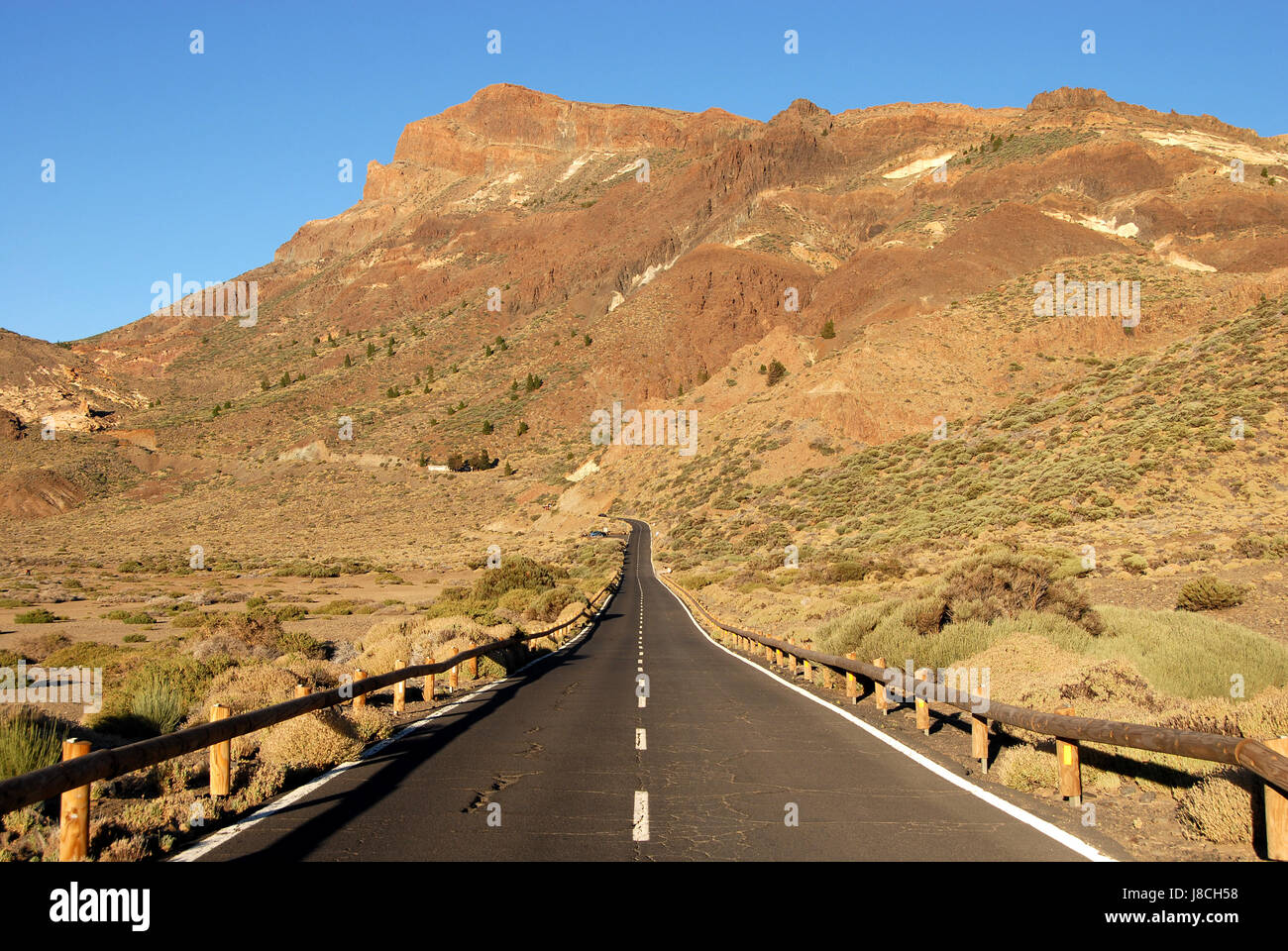 Parco Nazionale del Teide a Tenerife Foto Stock