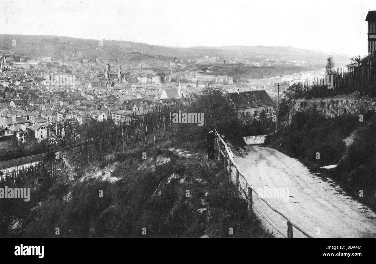 Questo si riferisce a una fotografia di HBrandseph di Stoccarda presa dal Neue Weinstein, utilizzando carta all'albumina, una tecnica fotografica popolare alla fine del XIX secolo. L'immagine è datata al 1884. Foto Stock