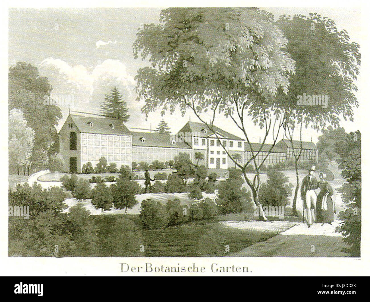 LAHelwig Der Botanische Garten (aus Sammelbild) (Aquatinta CBurckhardt) ca1830 (238) Foto Stock
