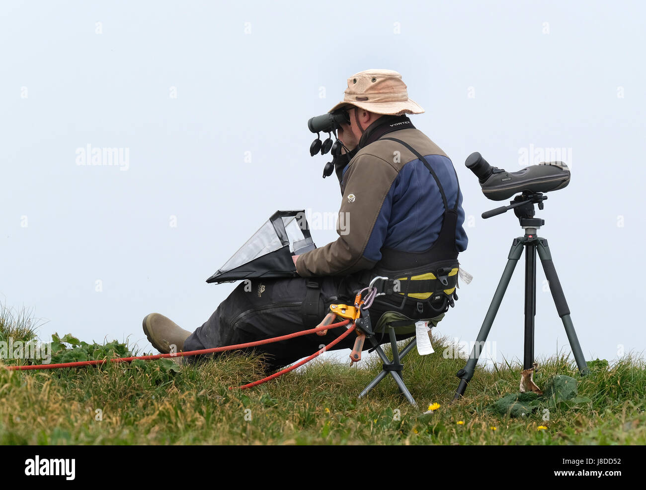 Bird watcher ormeggiato a scogliera per la sicurezza la osservazione e registrazione di colonie di uccelli marini. Foto Stock