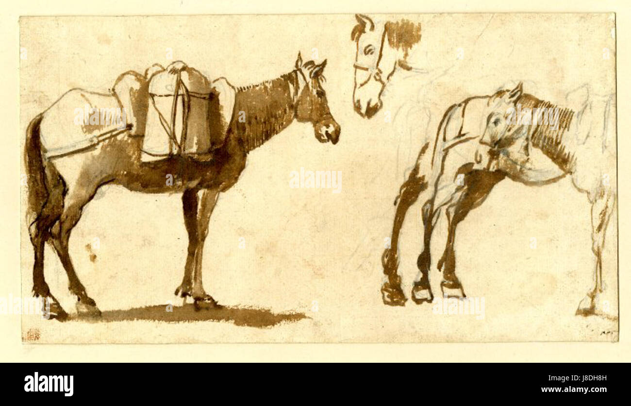 Un disegno di Claude Lorrain raffigurante muli, che mostra lo stile di artistâ raffigurando animali e paesaggi in un contesto artistico classico. Foto Stock