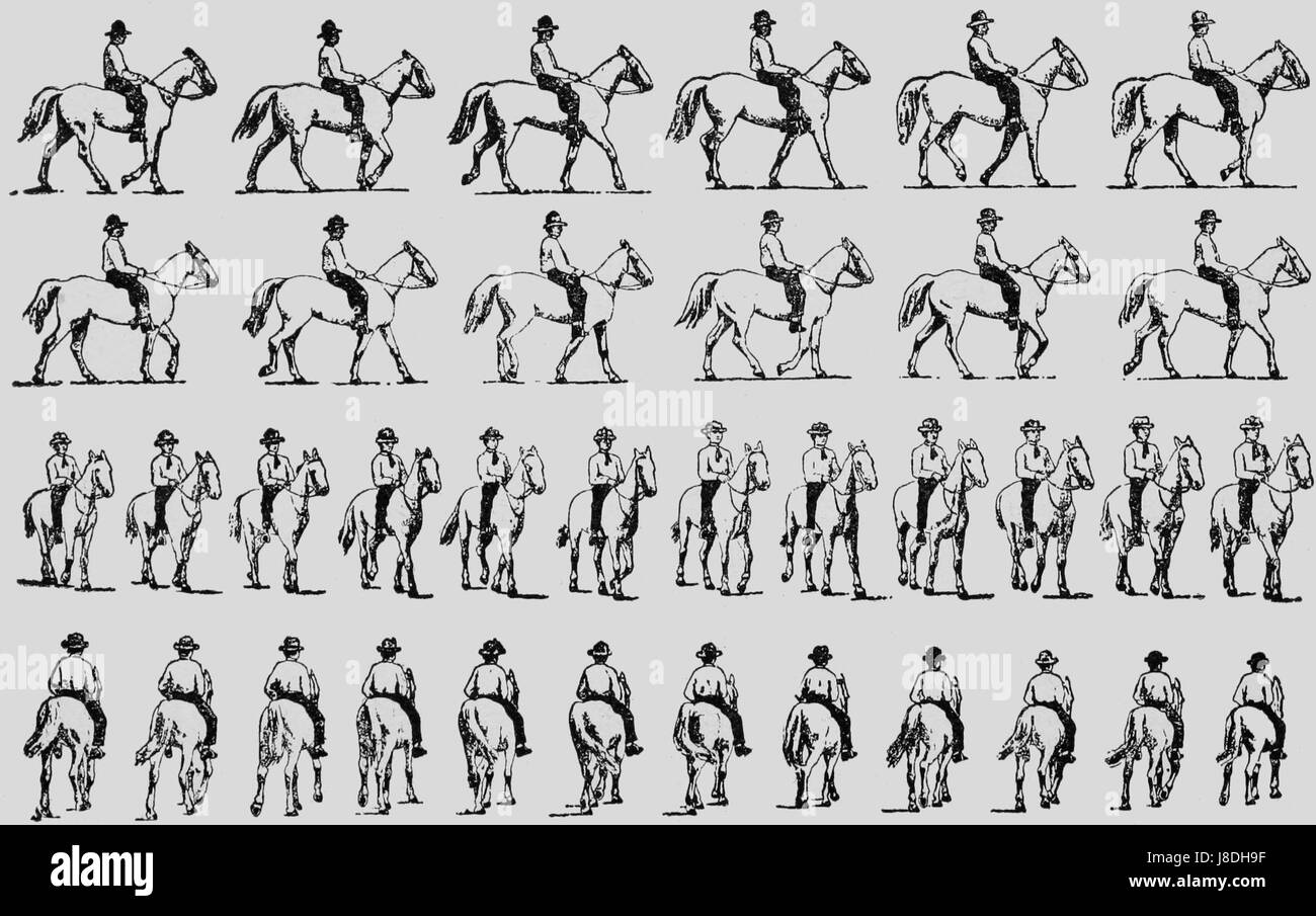 La zoopraxografia si riferisce allo studio precoce e alla rappresentazione del movimento negli animali, spesso utilizzando la tecnologia fotografica. Questo titolo si riferisce probabilmente a un'immagine o a una sequenza specifica che cattura tale movimento. Foto Stock