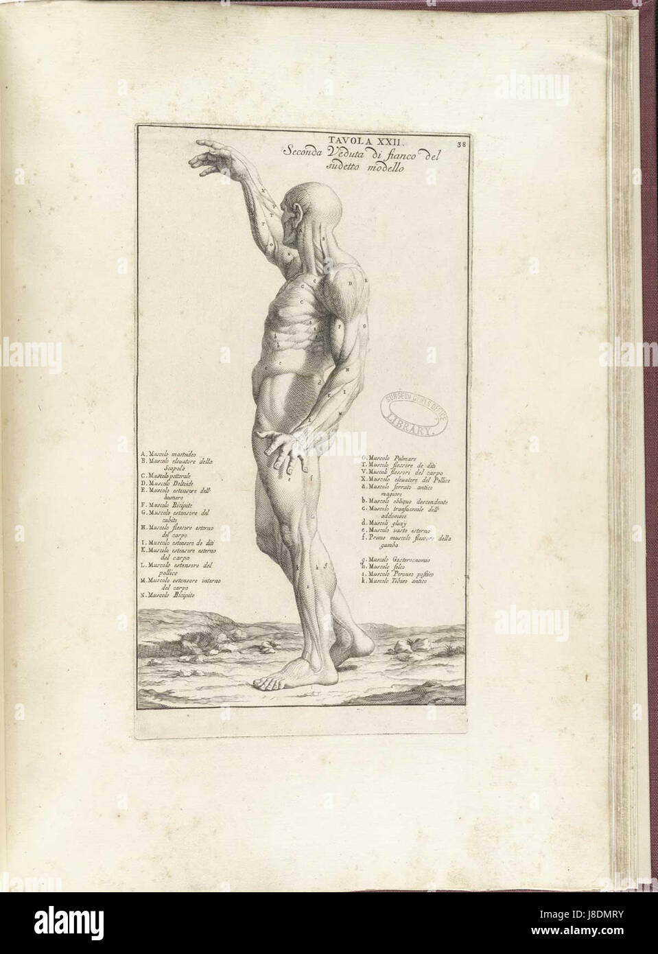 Genga 38 si riferisce a un'opera d'arte o a un'opera d'arte di un artista, probabilmente del XVIII o XIX secolo. Genga potrebbe essere il nome di un artista o un riferimento a un pezzo specifico di una collezione. Foto Stock