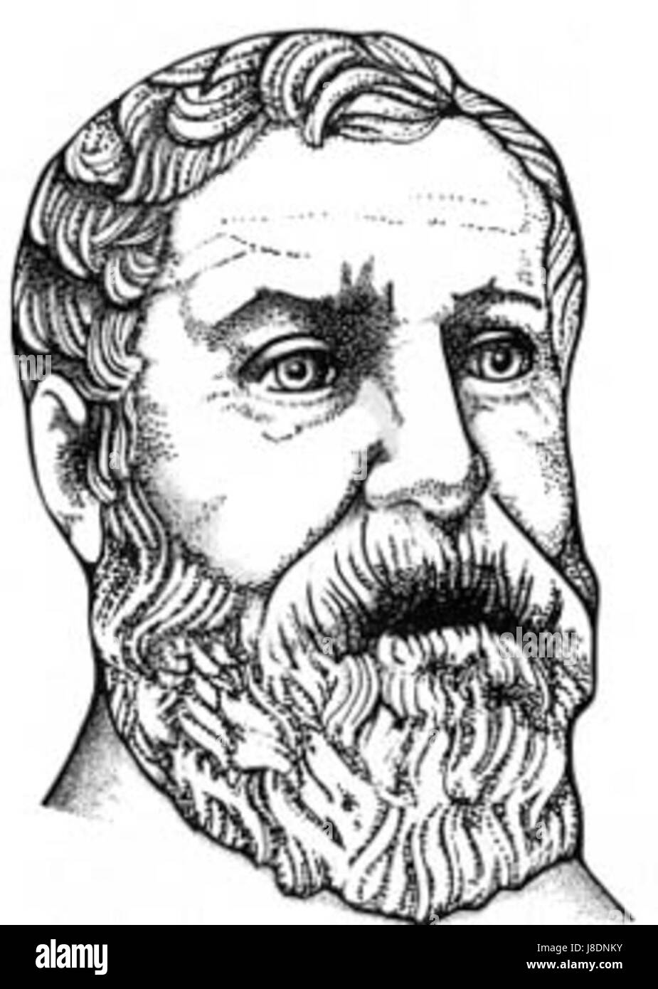 Un airone è un uccello a zampe lunghe, comunemente presente nelle zone umide e nelle regioni costiere. Noti per la loro grazia e il loro stile di caccia distintivo, gli aironi sono importanti per mantenere l'equilibrio ecologico negli habitat acquatici. Foto Stock