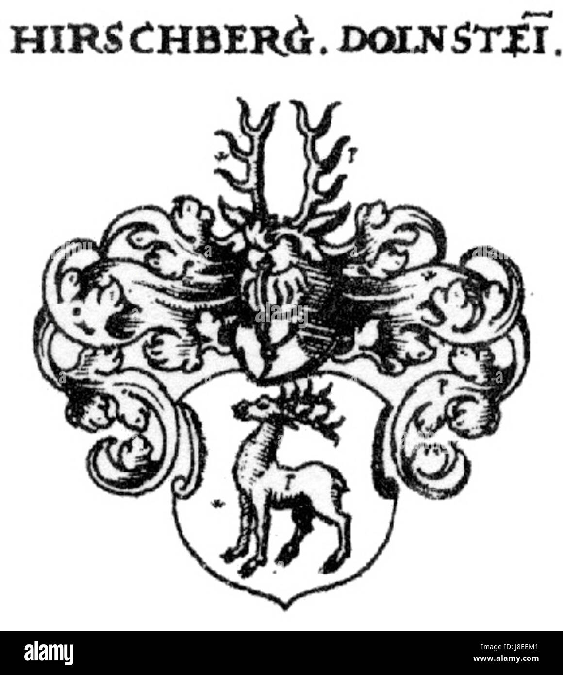 Hirschberg Siebmacher009 si riferisce probabilmente a un documento araldico o a un'immagine relativa ai Grafen (conti) di Hirschberg, pubblicato nel 1703, che descrive in dettaglio lo stemma o la genealogia della famiglia. Foto Stock