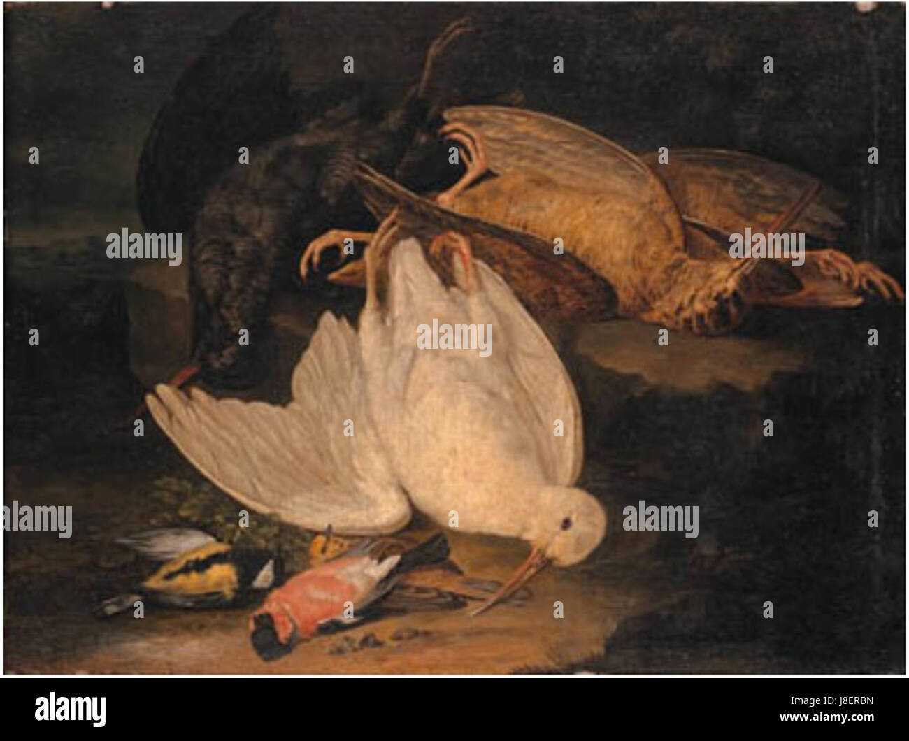 Jacob Xavier Vermoelen uccelli morti ai piedi di un albero e su un banco roccioso Foto Stock Jacob Xavier Vermoelen uccelli morti ai piedi di un albero e su un banco roccioso Foto Stock