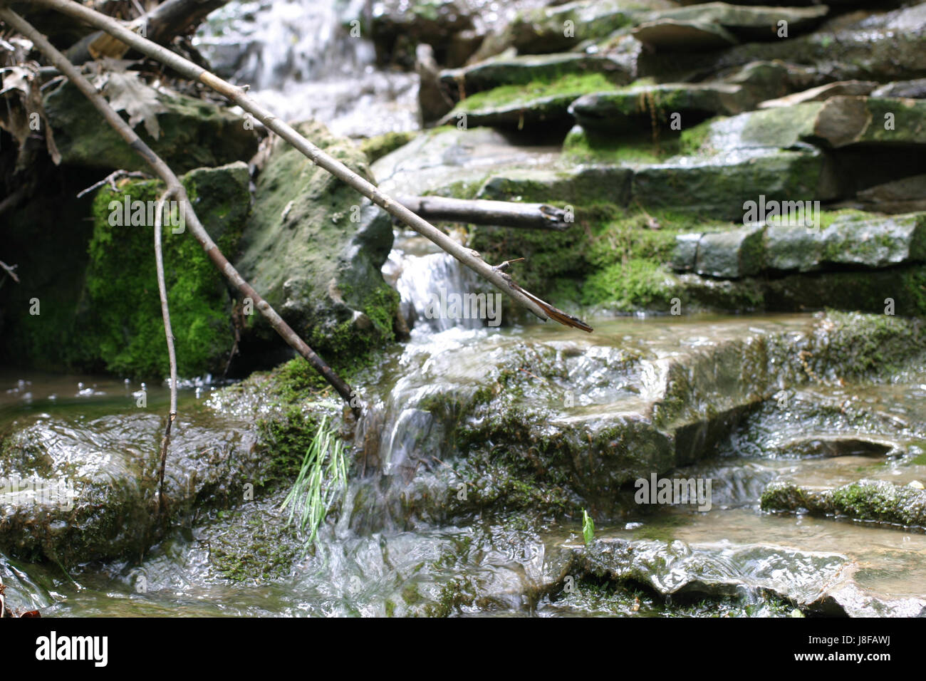 Serie di cascate da un sentiero escursionistico in San Catharines. Ontario, Canada Foto Stock