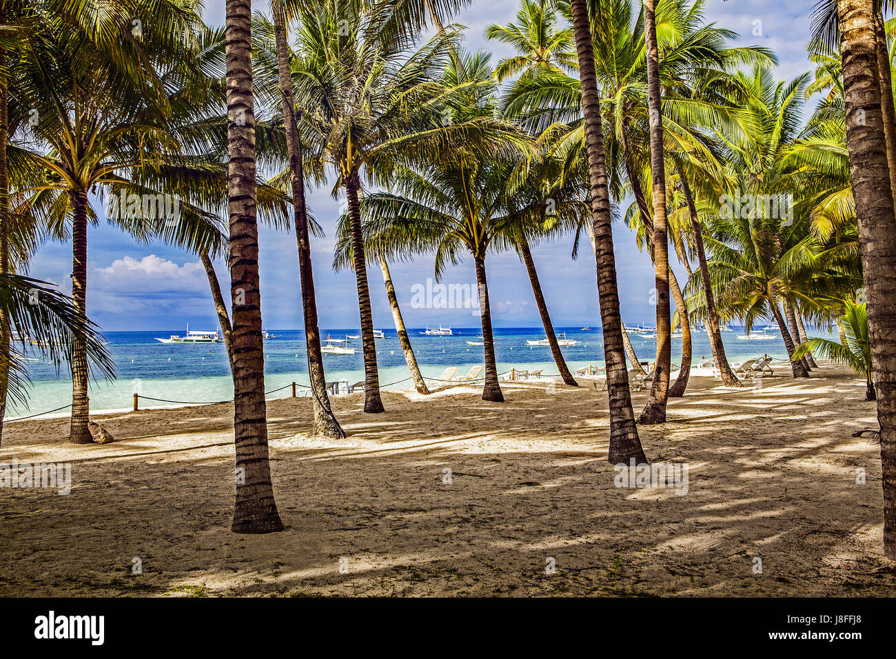 Outrigger barche ancorate al largo visto attraverso un albero di cocco Grove at Alona Beach in Panglao Island nelle Filippine. Foto Stock