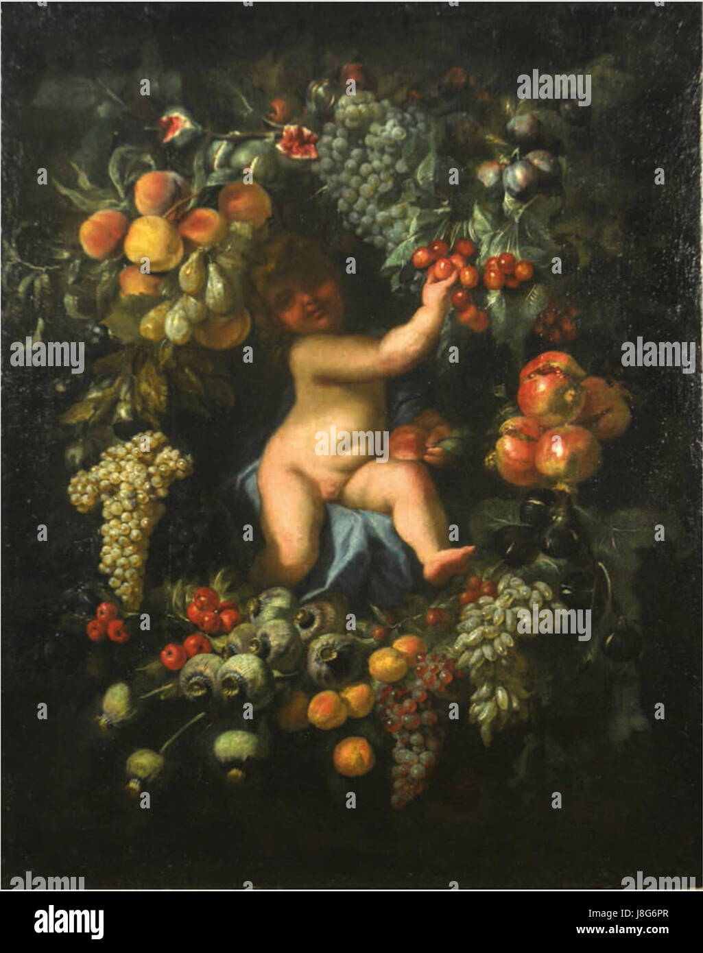 Domenico Piola e Stefano Camogli Putto in ghirlanda di frutta Foto stock -  Alamy