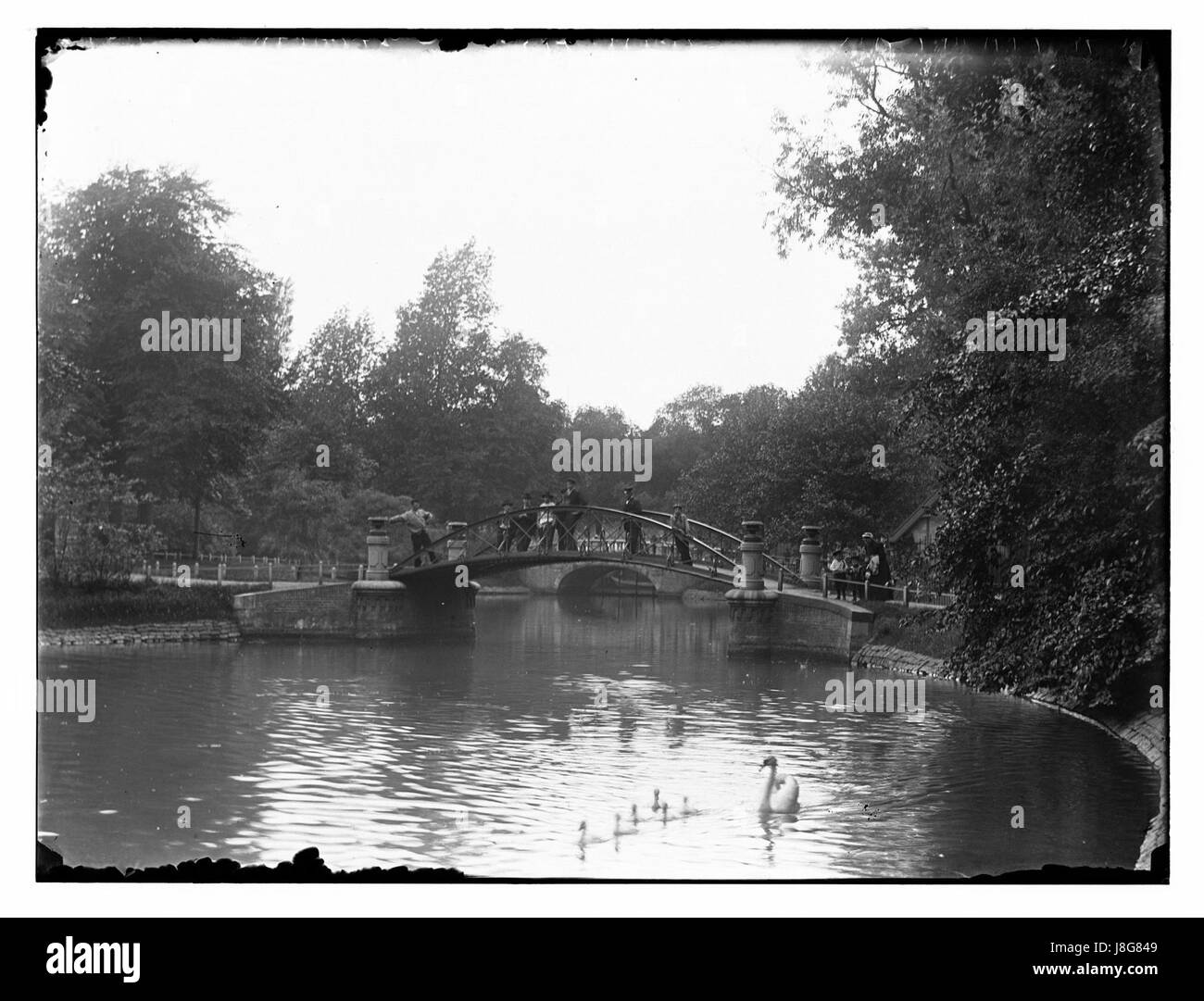 Hortusplantsoen, foto 4 Giacobbe Olie (max res) Foto Stock