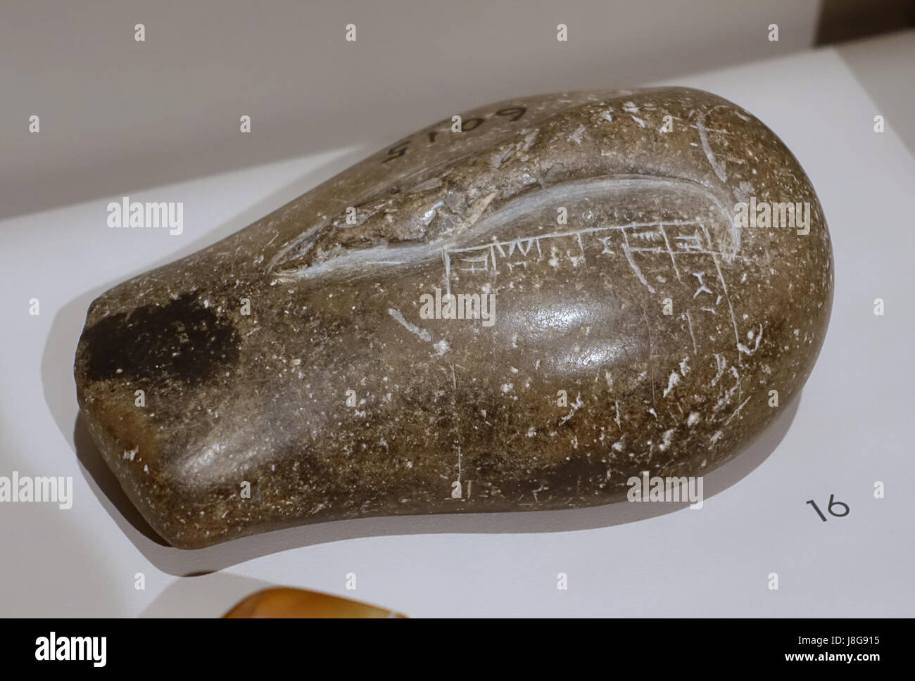 Questo peso anatra scritto, risalente al periodo accadico (2400-2200 a.c. circa), è stato trovato nella regione mesopotamica ed è ora ospitato nel Museo semitico di Harvard. Riflette gli antichi sistemi commerciali e di misurazione. Foto Stock