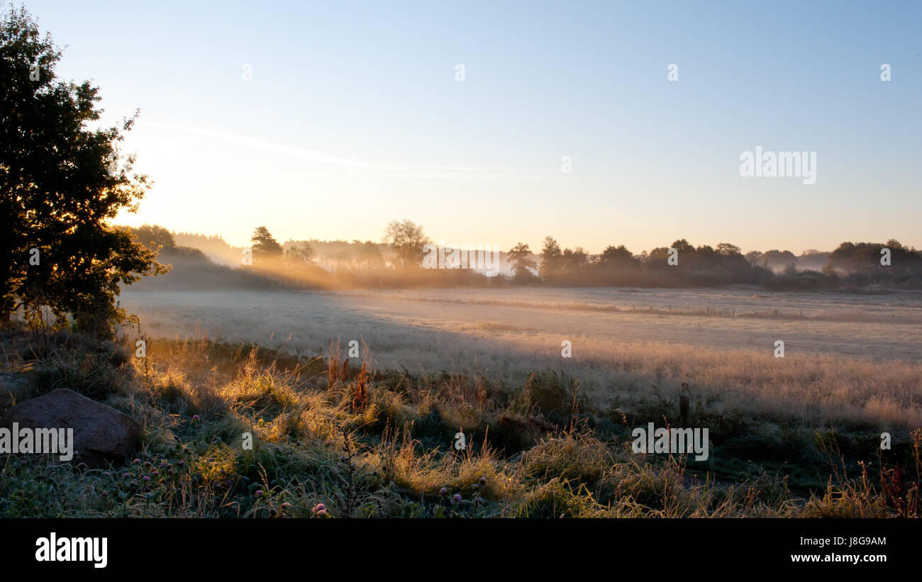 La nebbia, foschia, Germania settentrionale, ottobre, stagione, domani mattina, autunno autunno, Foto Stock