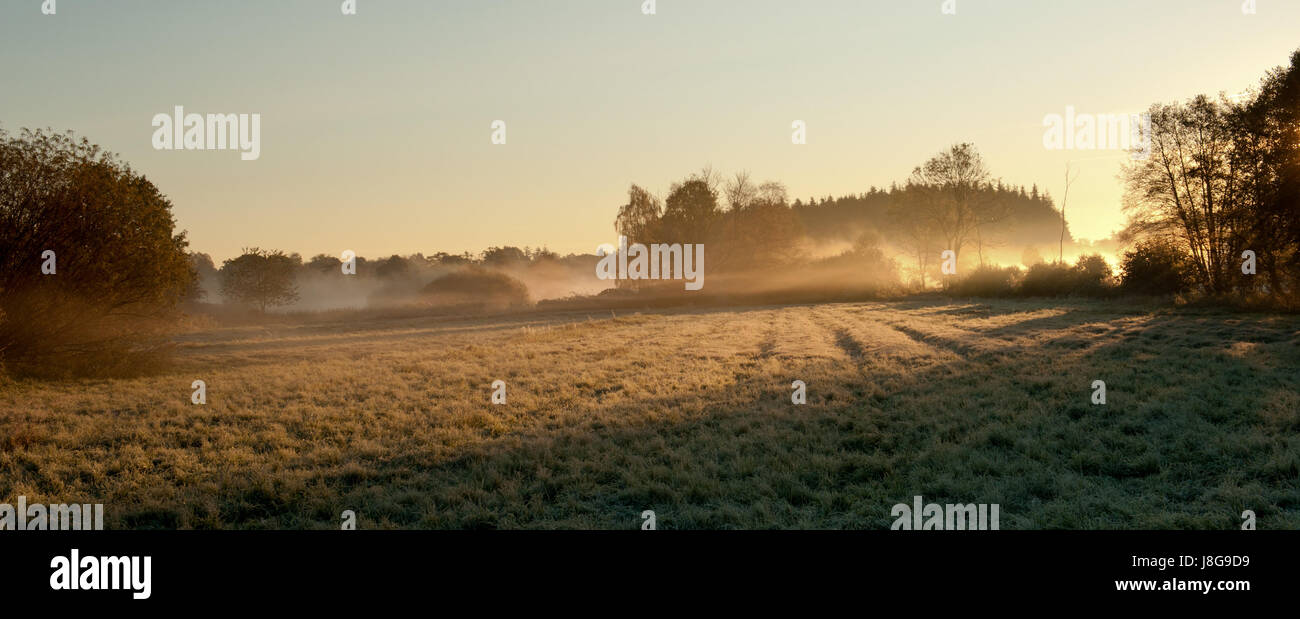 La nebbia, foschia, Germania settentrionale, ottobre, prato, domani mattina, autunno autunno, Foto Stock