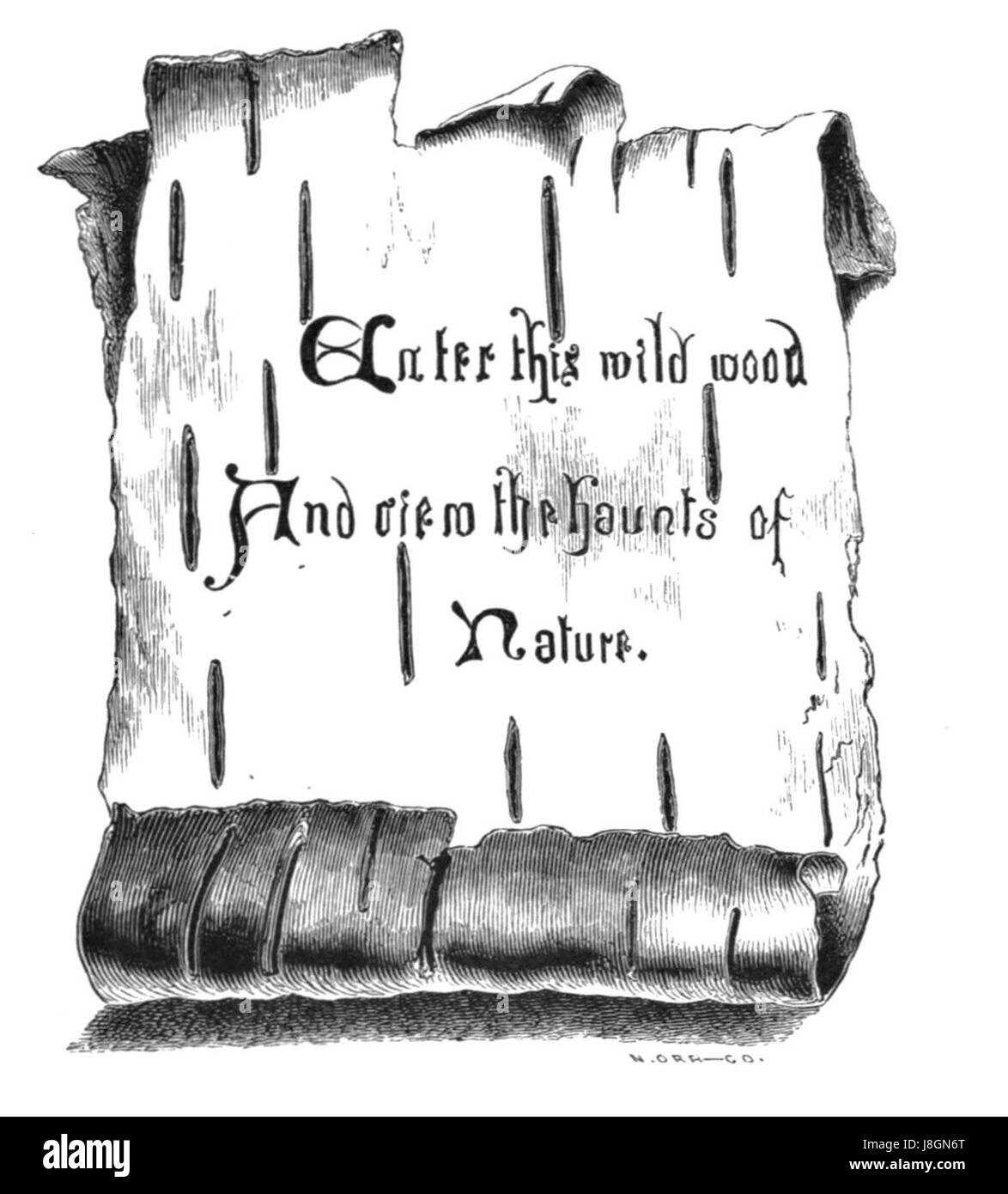 L'inno della foresta è un'opera poetica che loda la bellezza e il significato delle foreste in natura. L'inno sottolinea l'importanza ecologica delle foreste, il loro ruolo nel sostenere la vita e i loro valori spirituali ed estetici. E' una celebrazione della natura e dell'ambiente. Foto Stock