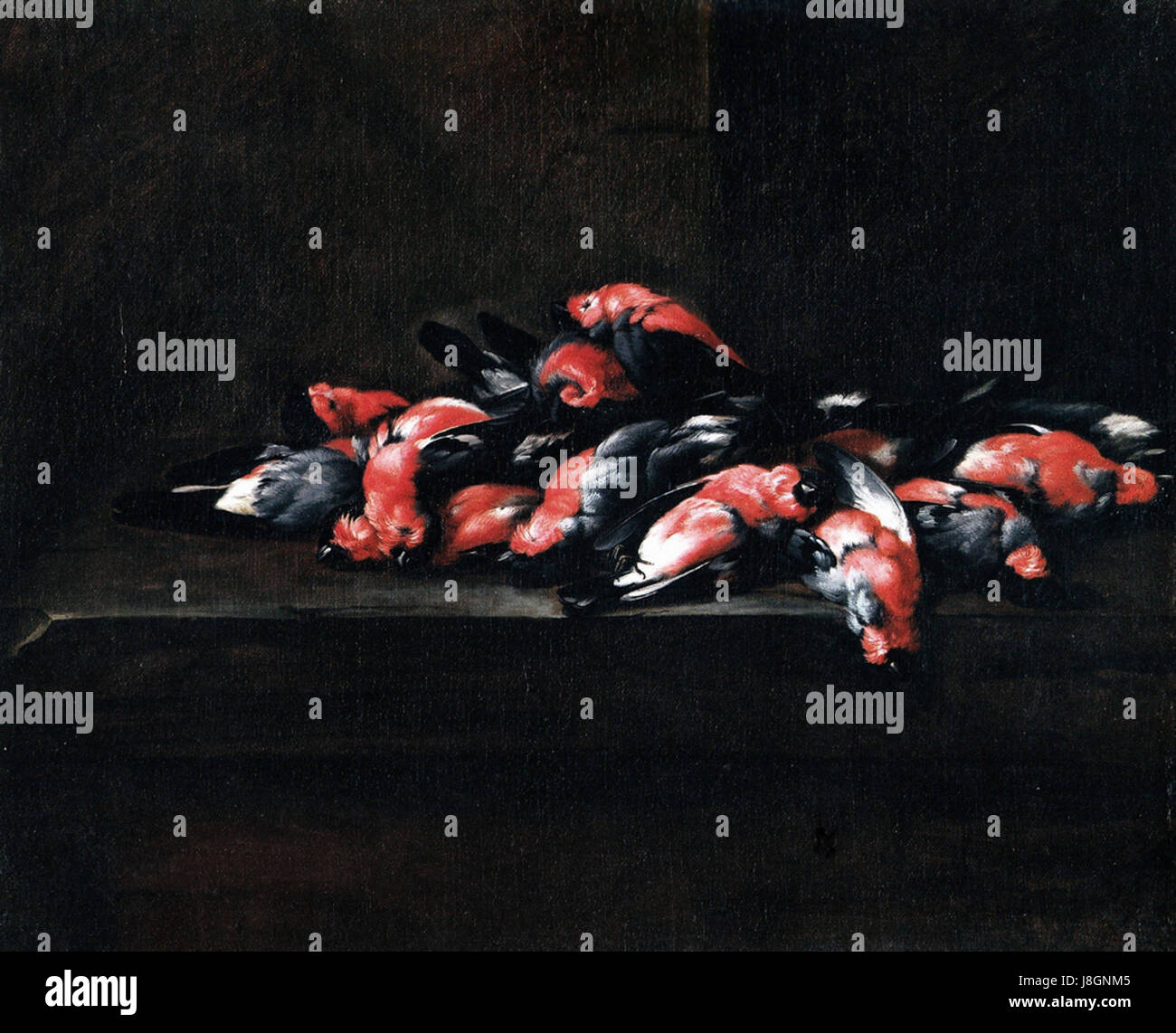 Il dipinto di Joannes Hermans sulla natura morta "uccelli morti su un Ledge" cattura gli intricati dettagli della natura, ritraendo gli uccelli in una sistemazione tranquilla e contemplativa. Questa opera riflette l'abilità dell'artista nella composizione e la sua attenzione al realismo. Foto Stock Il dipinto di Joannes Hermans sulla natura morta "uccelli morti su un Ledge" cattura gli intricati dettagli della natura, ritraendo gli uccelli in una sistemazione tranquilla e contemplativa. Questa opera riflette l'abilità dell'artista nella composizione e la sua attenzione al realismo. Foto Stock