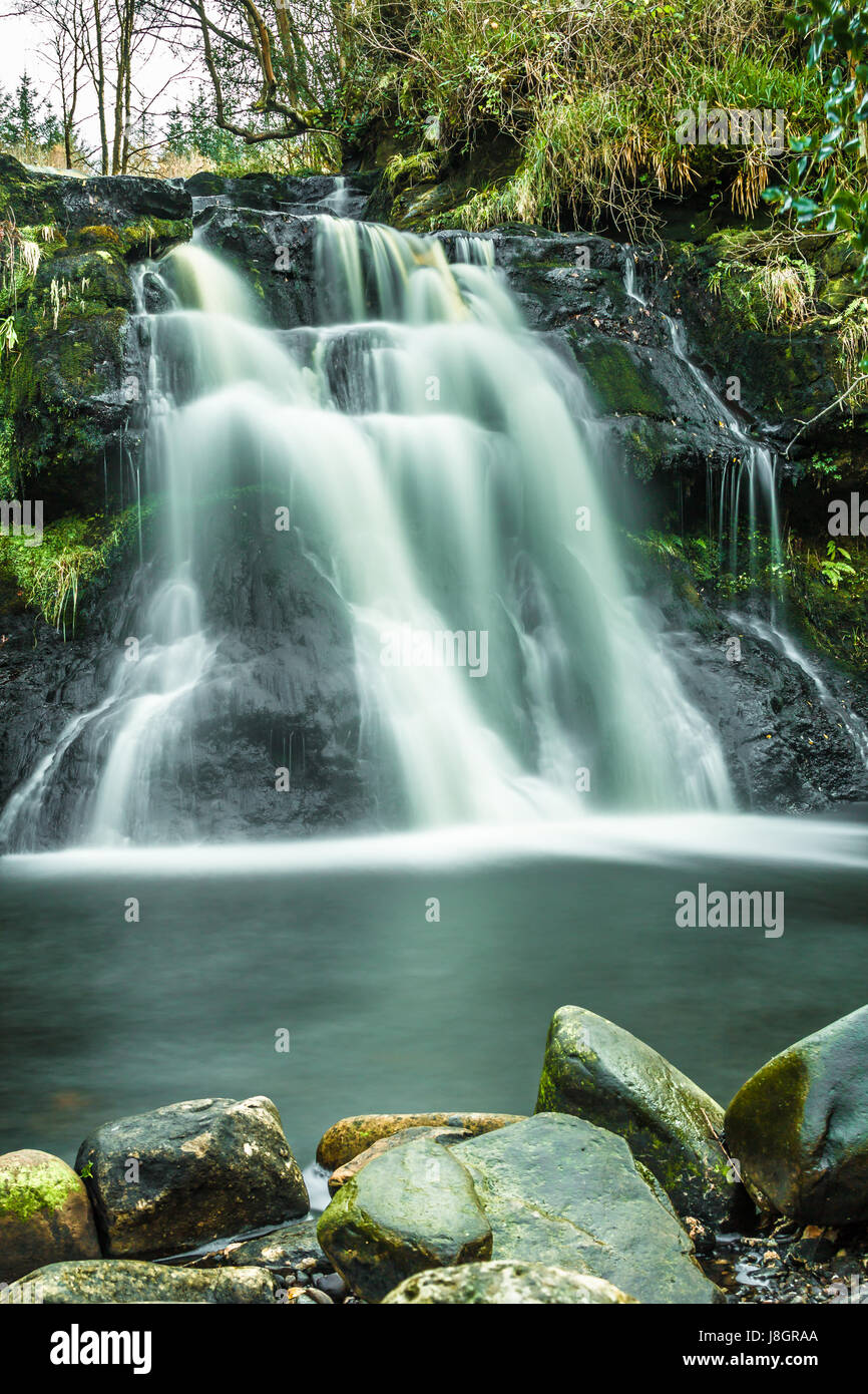 Sleive Bloom Montagne Irlanda Foto Stock
