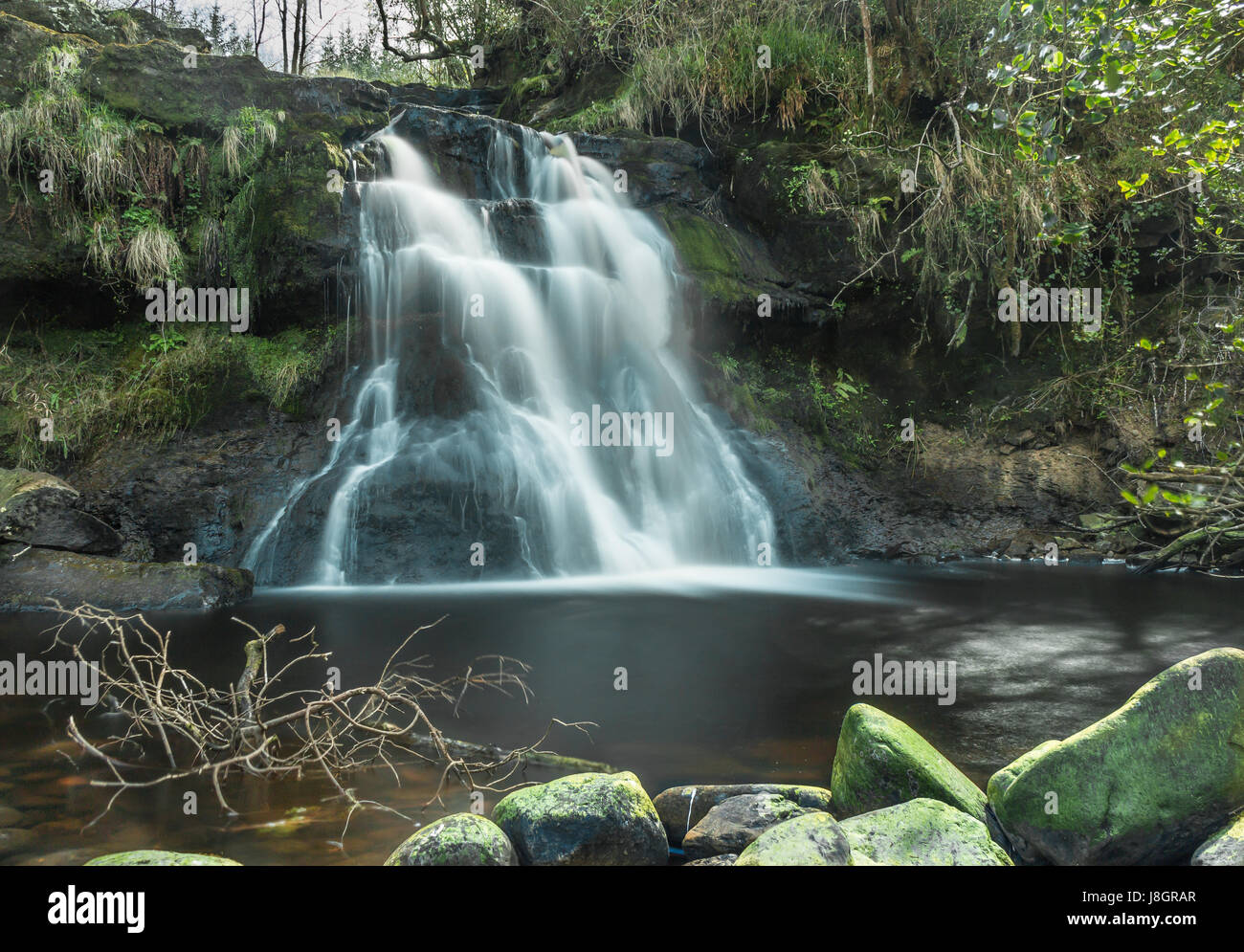 Sleive Bloom Montagne Irlanda Foto Stock