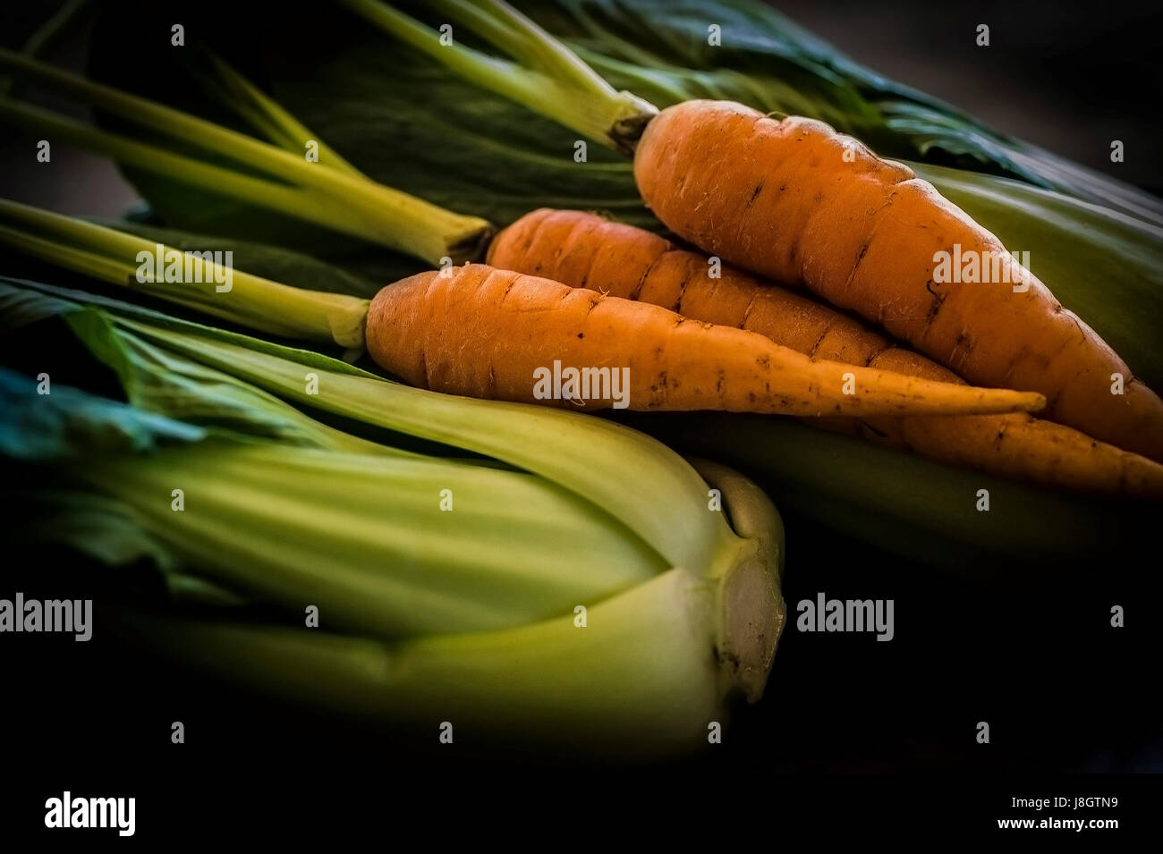Un primo piano di verdure; Baby carote; pak choi; cibo; materie; nutritive; nutrizione; cibo sano Foto Stock