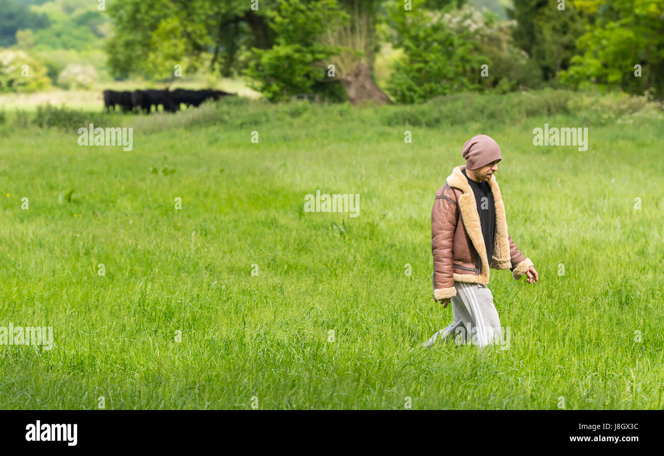 A piedi attraverso un campo. Uomo che cammina in un campo in campagna. Foto Stock