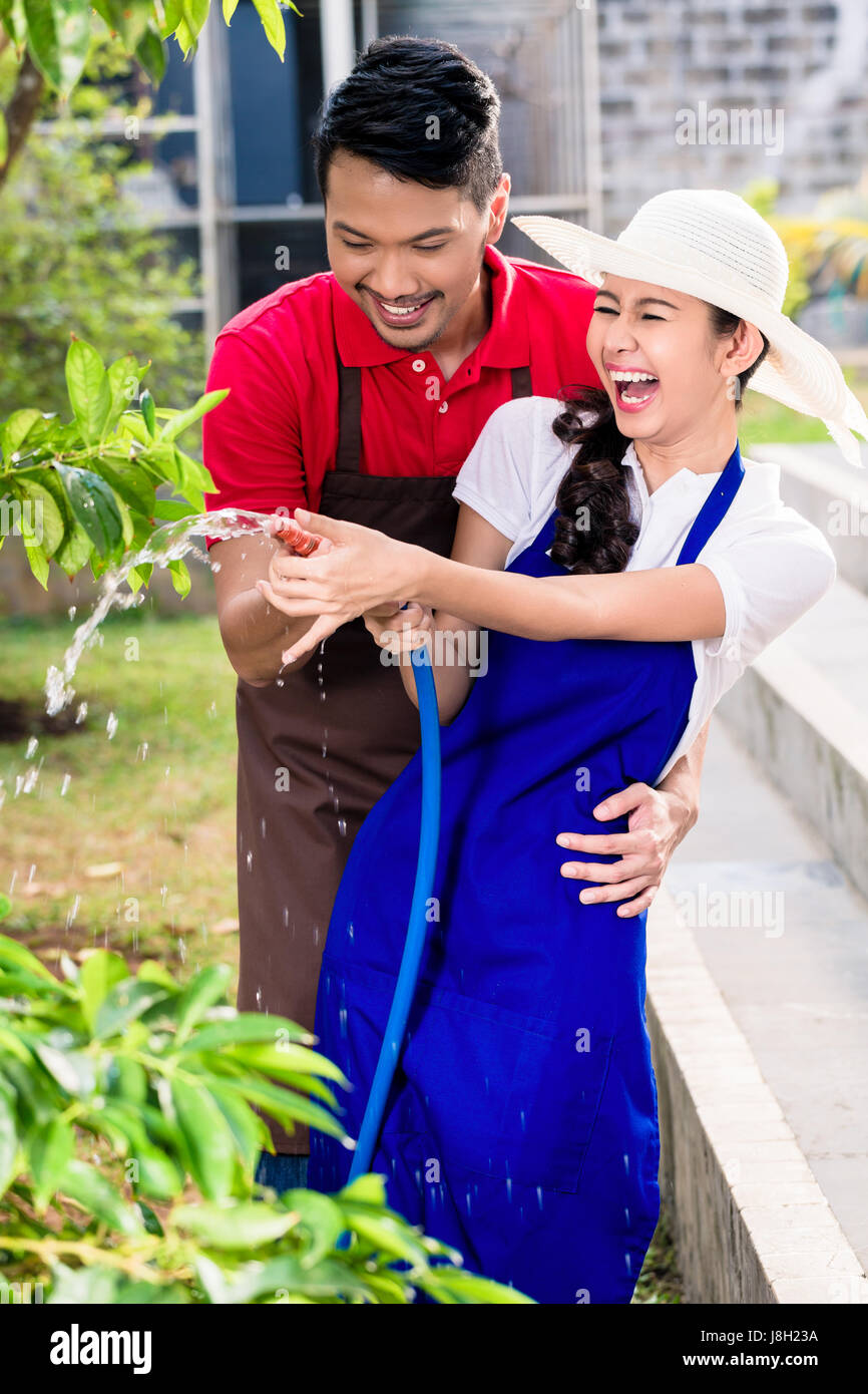 Giovani asiatici giovane ridere mentre coltivate di irrigazione piano verde Foto Stock