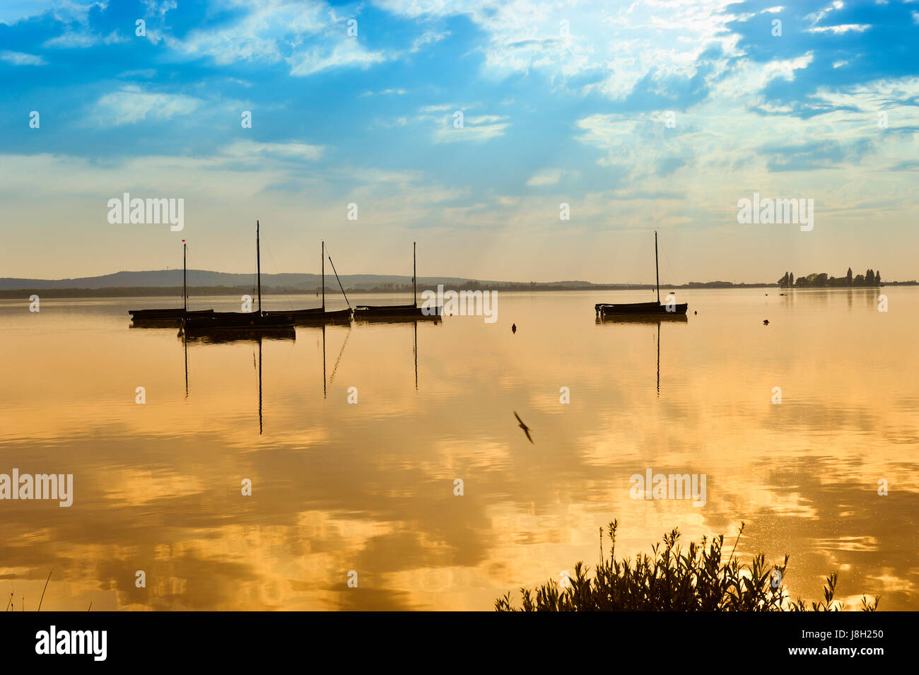 Sunset, barche, barca a vela, barca a vela, barca a remi, imbarcazione natante, Foto Stock