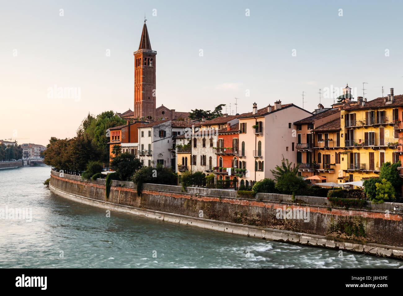 Il campanile di Santa Anastasia in Verona al mattino, Veneto, Italia Foto Stock