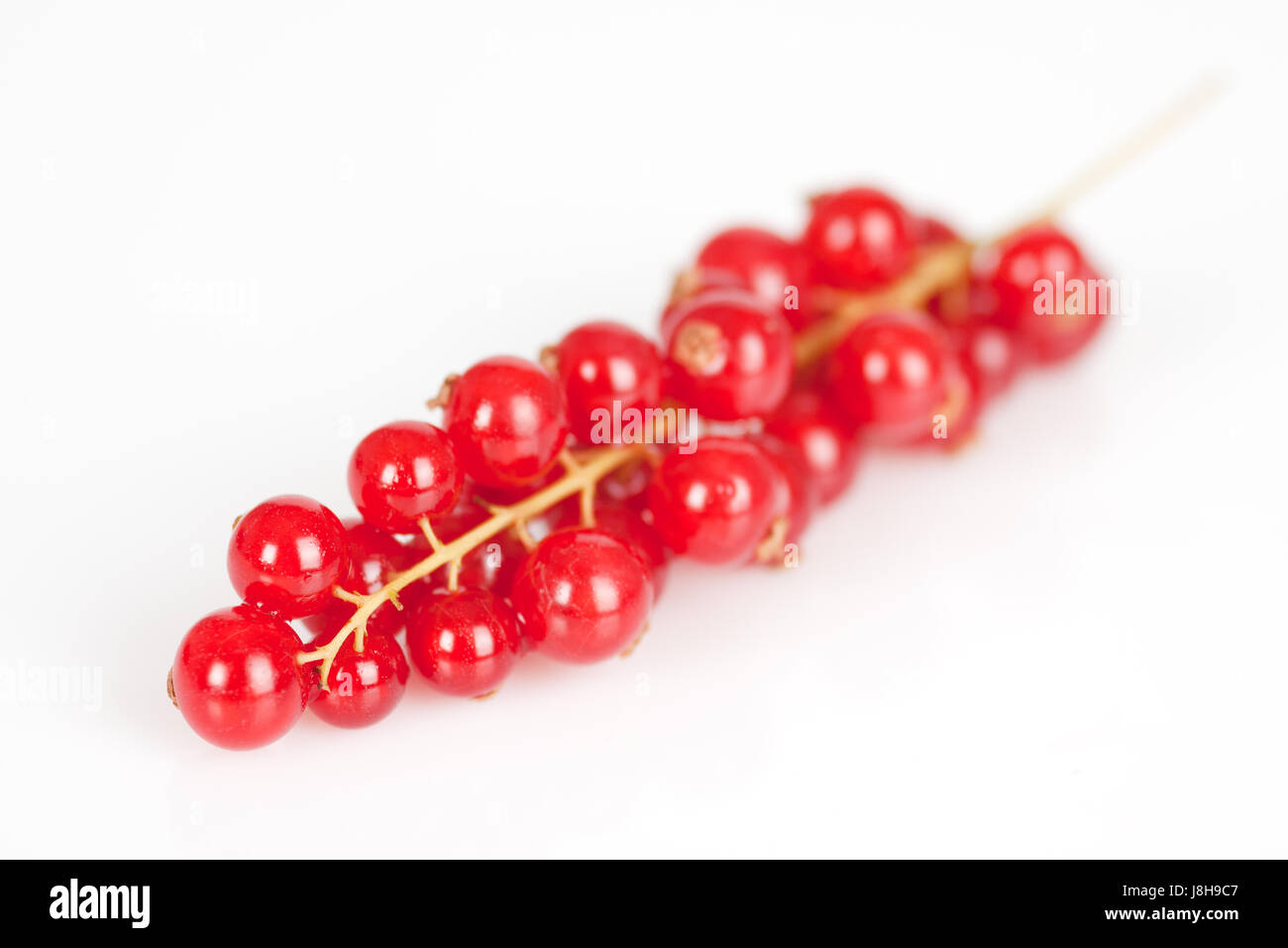 Progenie, frutta, frutta, cucina, bacche, ribes nero, Foto Stock