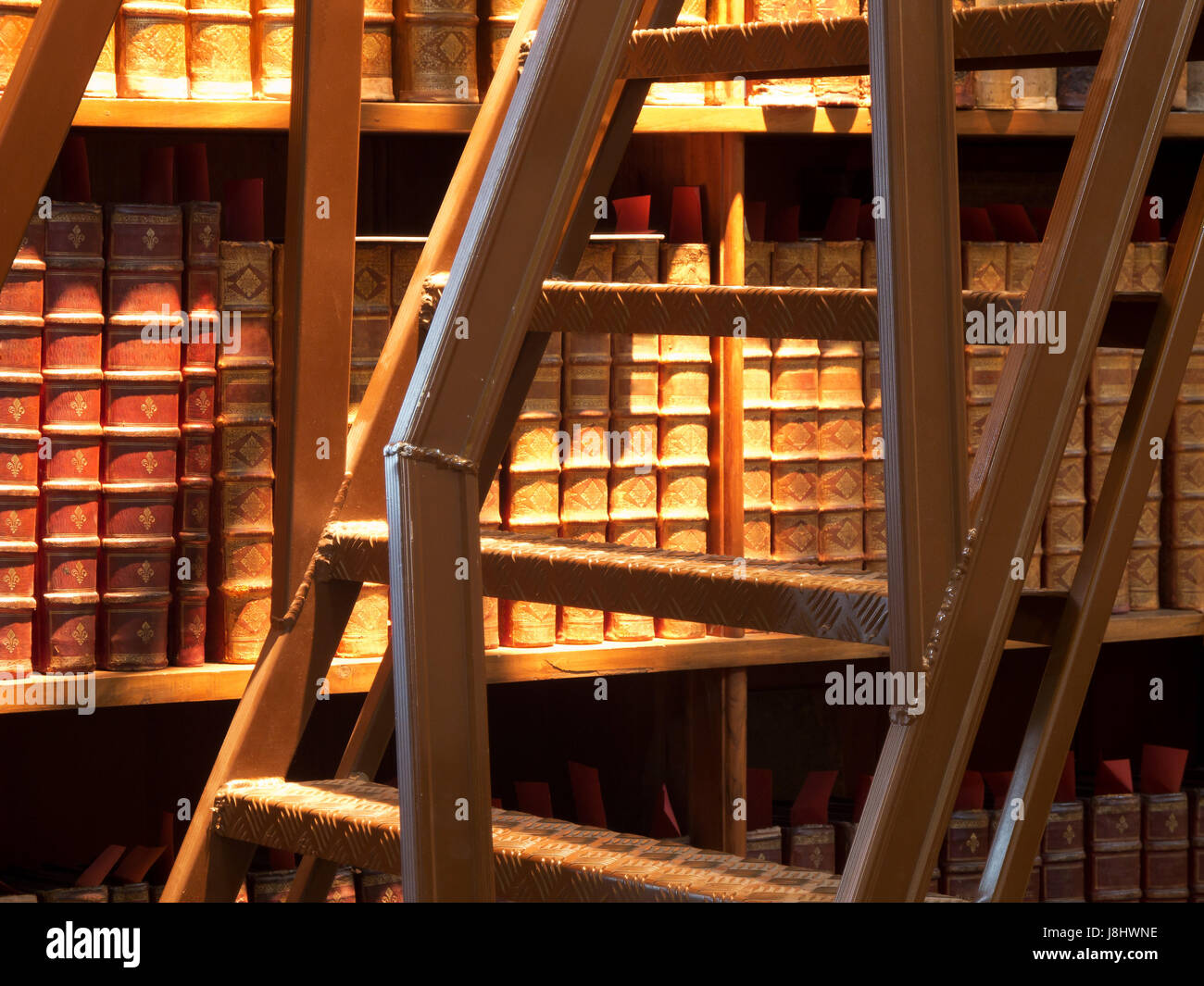 Libri, libreria di seconda mano bookshop, prenota, storico, scienza, antichi, Foto Stock