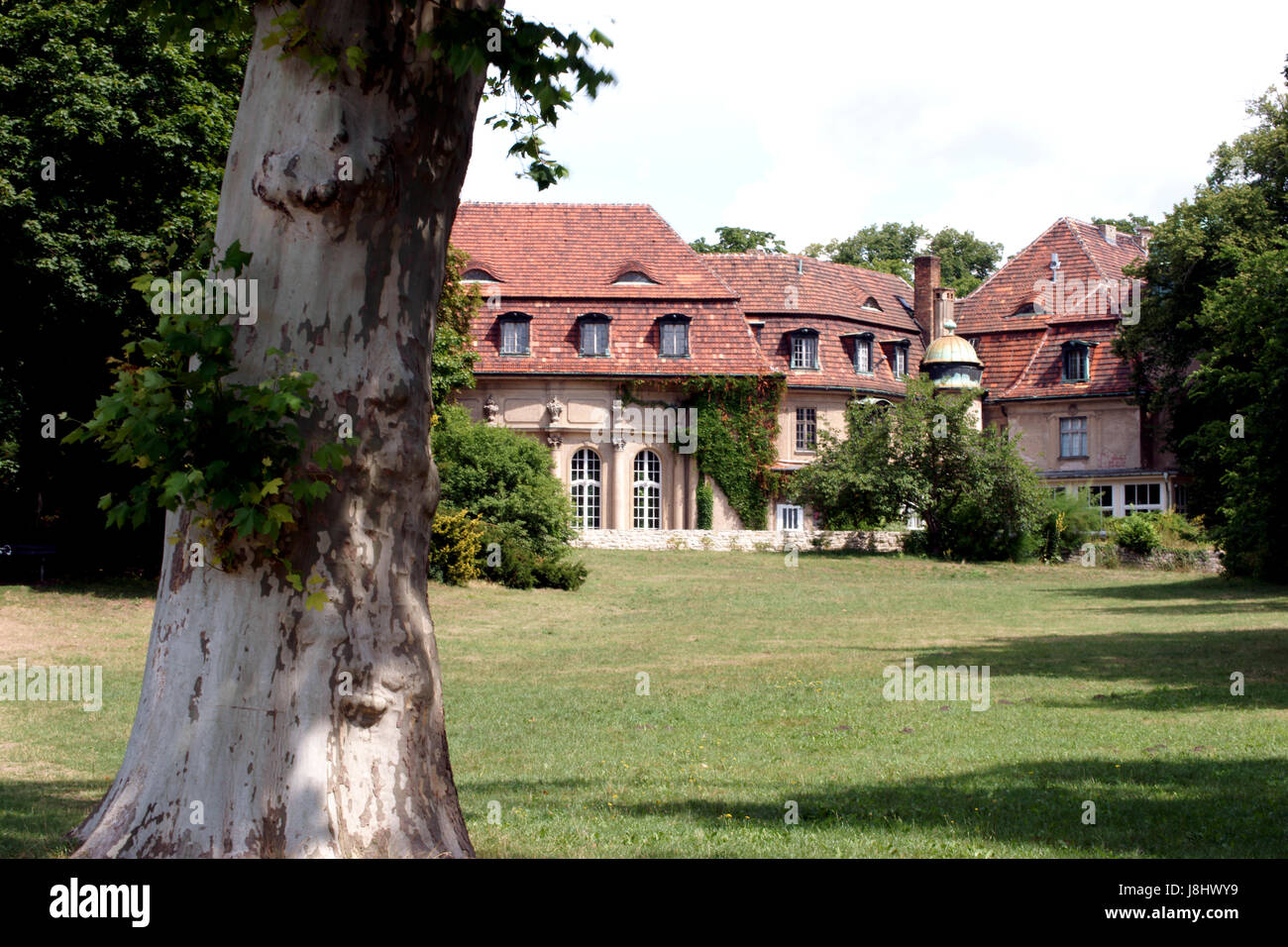 Parco storico, storia, albero, la Prussia, fabbro, più grande, area riabilitazione, Foto Stock