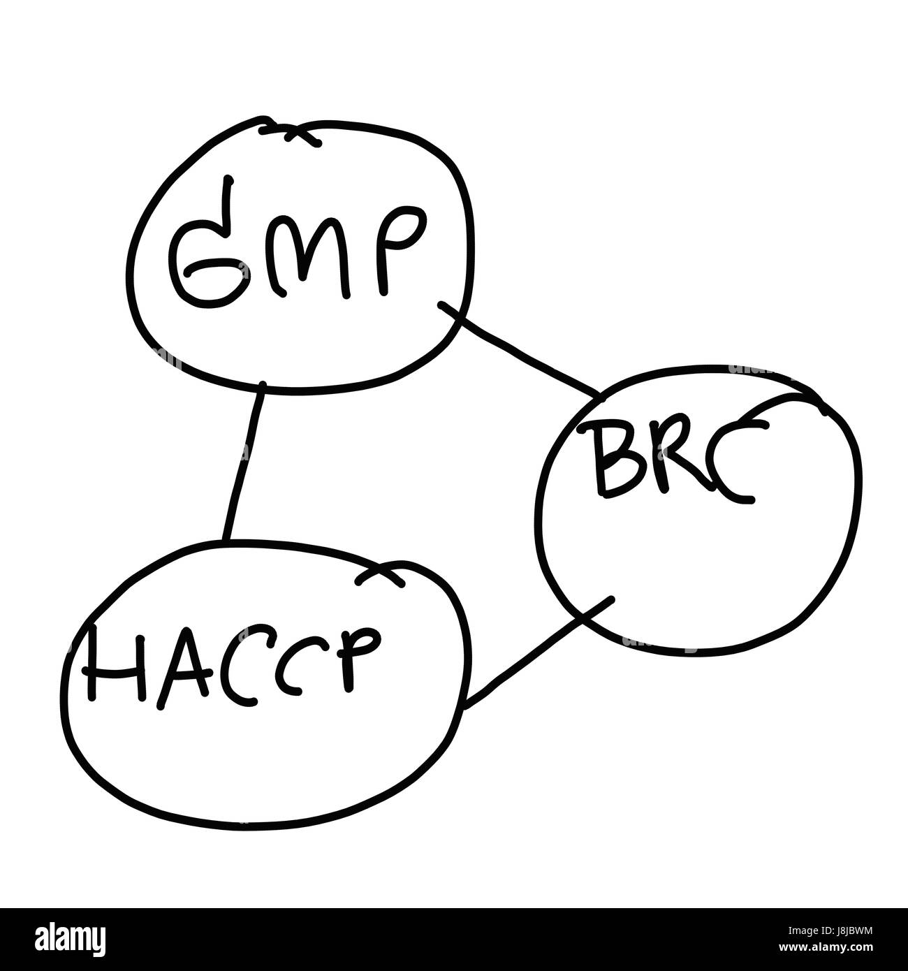 Disegnata a mano di un sistema aziendale di GMP,BRC,HACCP isolati su sfondo bianco per la presentazione del proprio lavoro. Foto Stock