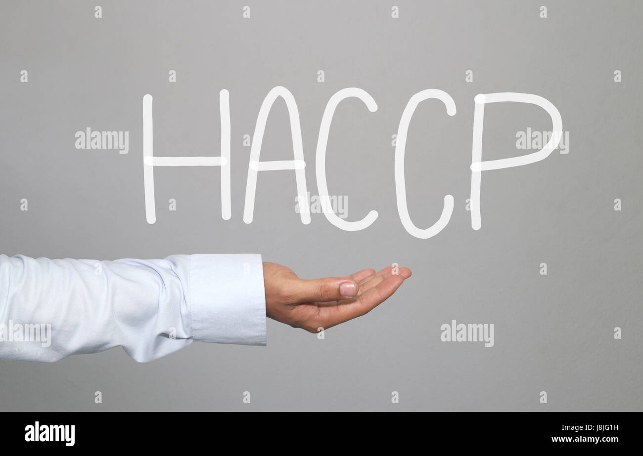 Mano di imprenditore e disegnati a mano il testo sistema HACCP per idea presentazione nella vostra organizzazione e lavoro. Foto Stock