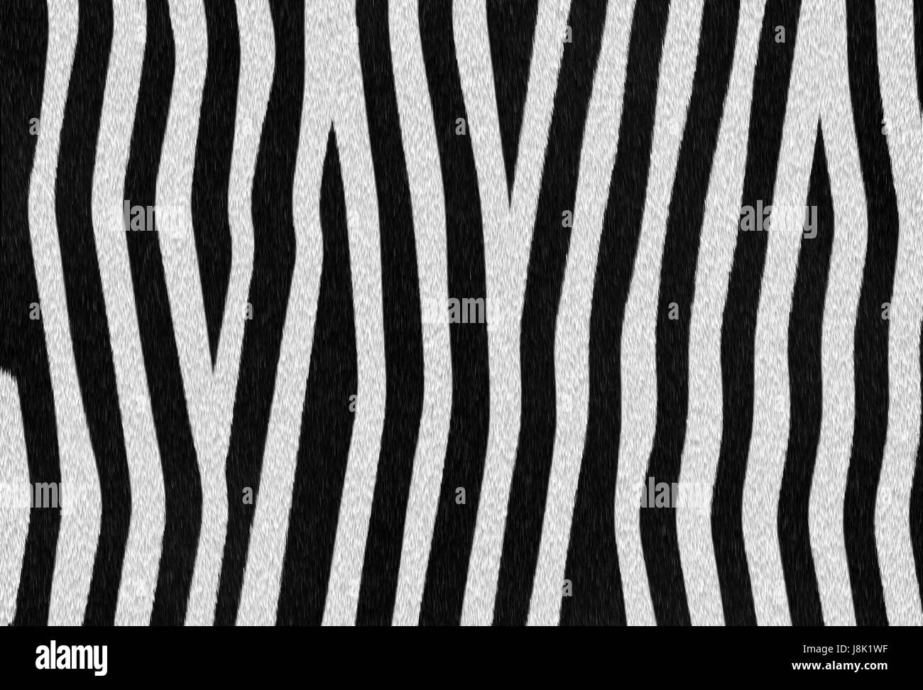 Presentazione, dettaglio, arte, die, animale mammifero, fauna selvatica, africa, pelle, Foto Stock