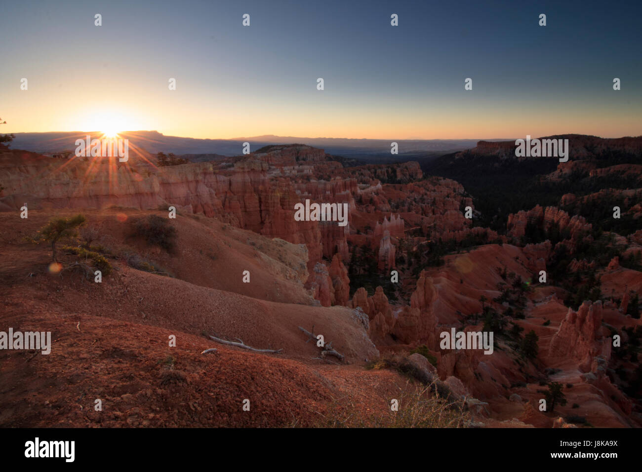 Parco Nazionale di Bryce Canyon, Utah Foto Stock