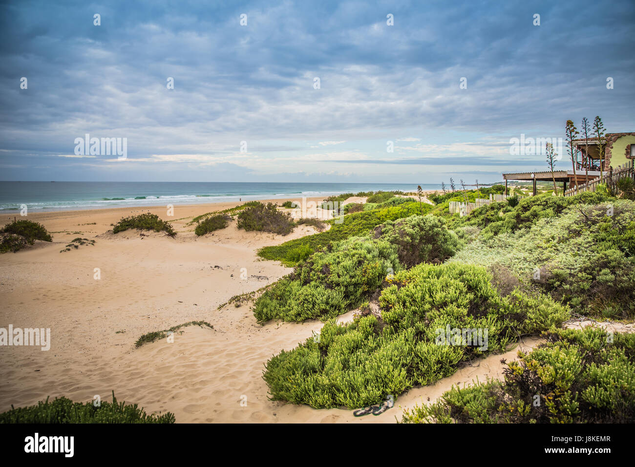 Sud Africa - 27 Gennaio 2015: la bellezza di una passeggiata mattutina sulla spiaggia in Jeffreys Bay Foto Stock