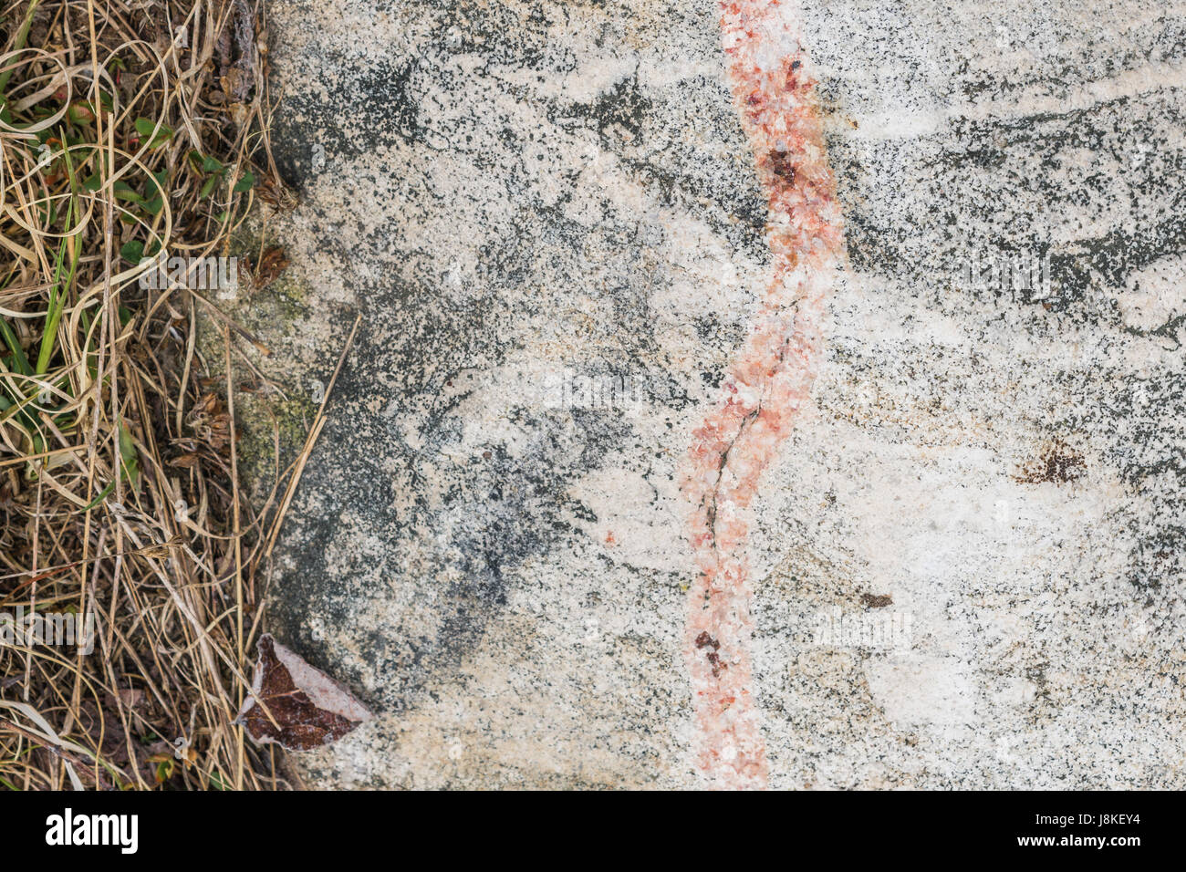 Granito ruvido ed erba Foto Stock