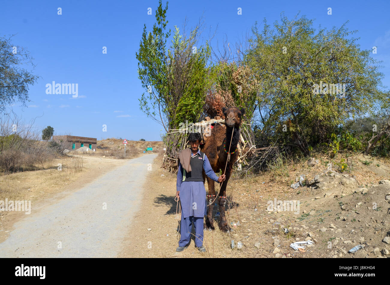 Un abitante di un villaggio uomo nella valle presto , Punjab, Pakistan Foto Stock