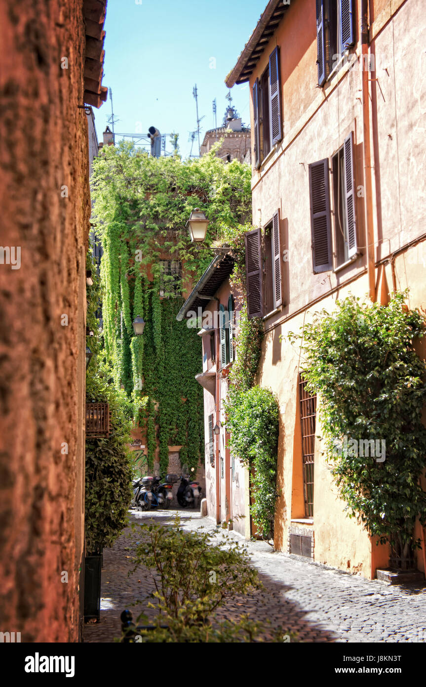 Vicolo tradizionale in Trastevere - Roma Italia Foto Stock