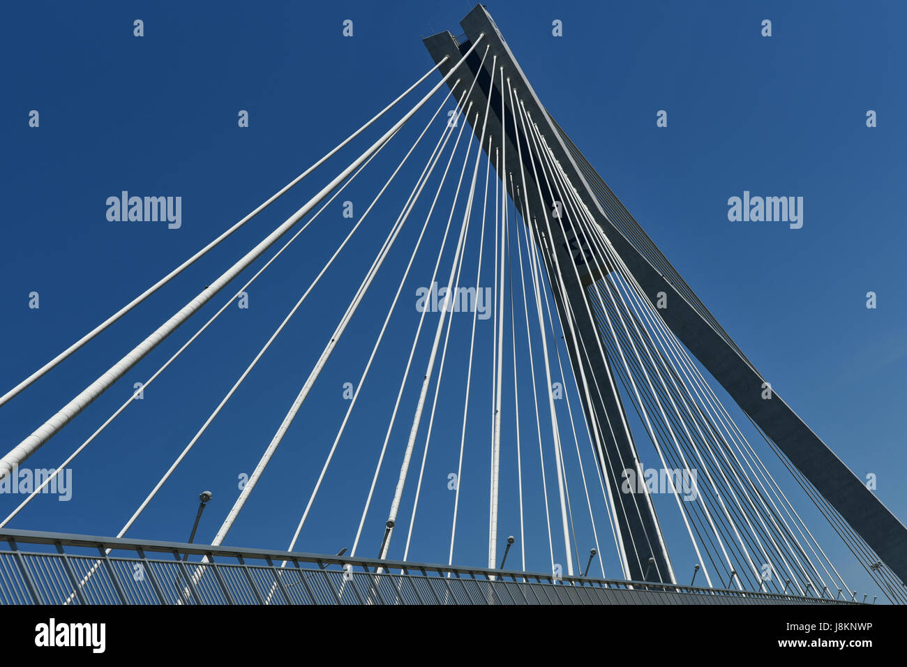 Rzeszow, Polonia, 28 Maggio 2017: Tadeusz Mazowiecki ponte sopra il fiume Wislok in Rzeszow ha. Il ponte è 480m e 108m alta. Foto Stock