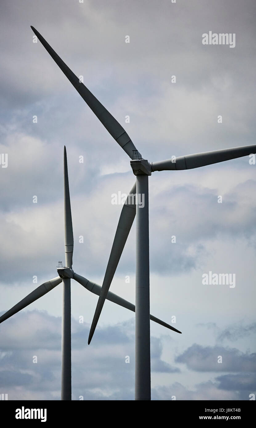 Le turbine eoliche ritratto. Foto Stock