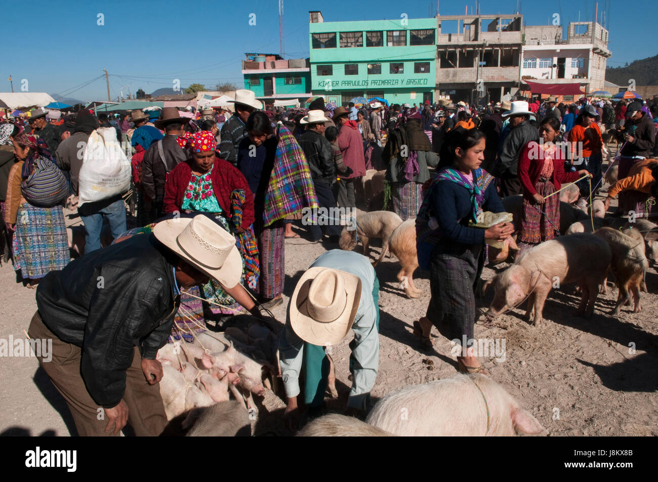 Mercato di animali a San Francisco El Alto, Guatemala. Foto Stock