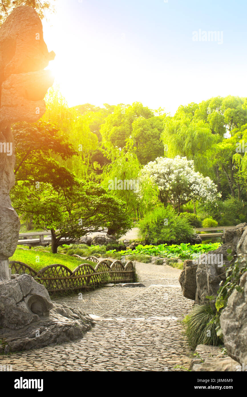 Passeggiate sentieri di ghiaia, pietre decorative, lotus, alberi e cespugli in umile Administrator's Garden, Suzhou, provincia dello Jiangsu, Cina. Giorno di estate Foto Stock