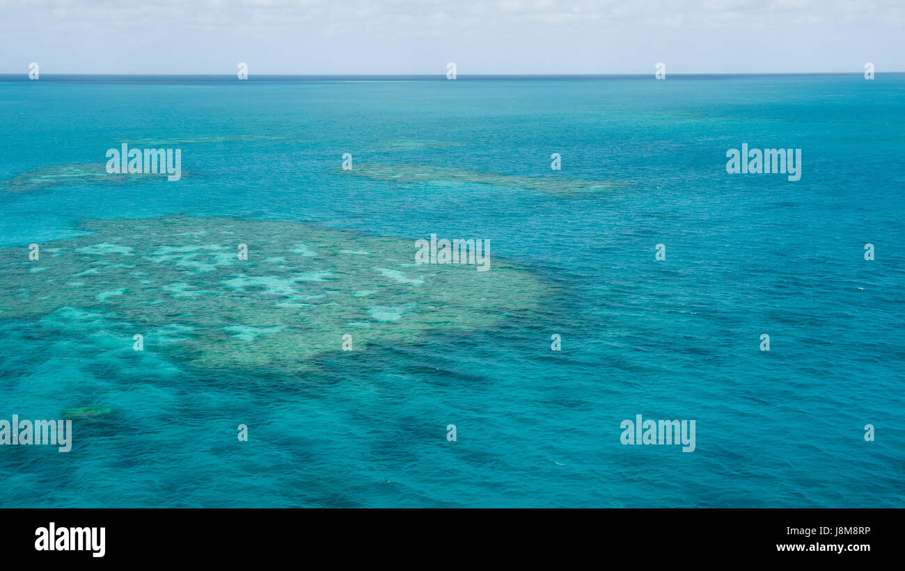 Pesca, immersioni, atoll, snorkel, anemone, tropici, corallo, pesci, shell, pacific, sale Foto Stock