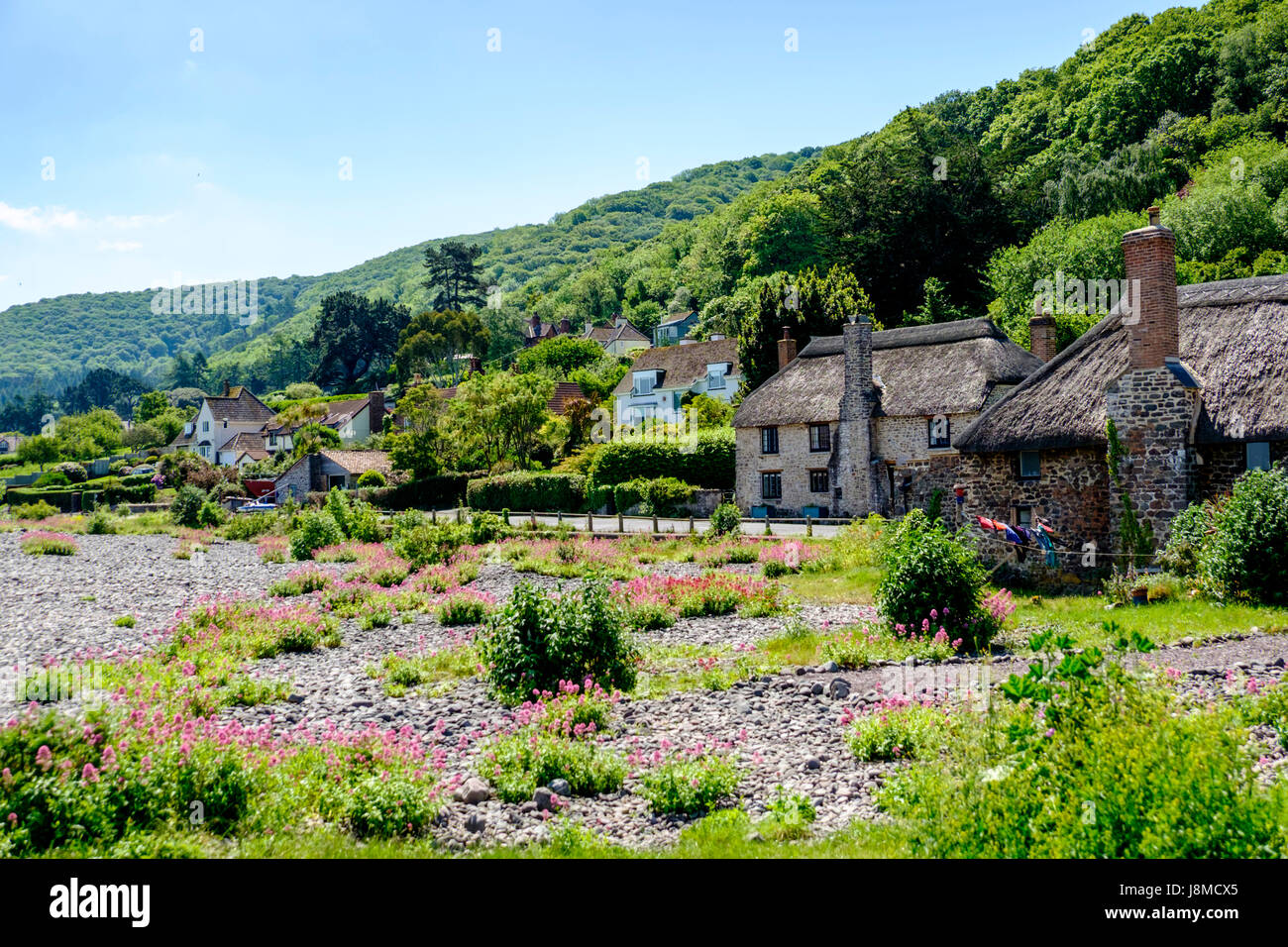 Porlock Weir, North Somerset Costa, Exmoor, England Regno Unito Foto Stock