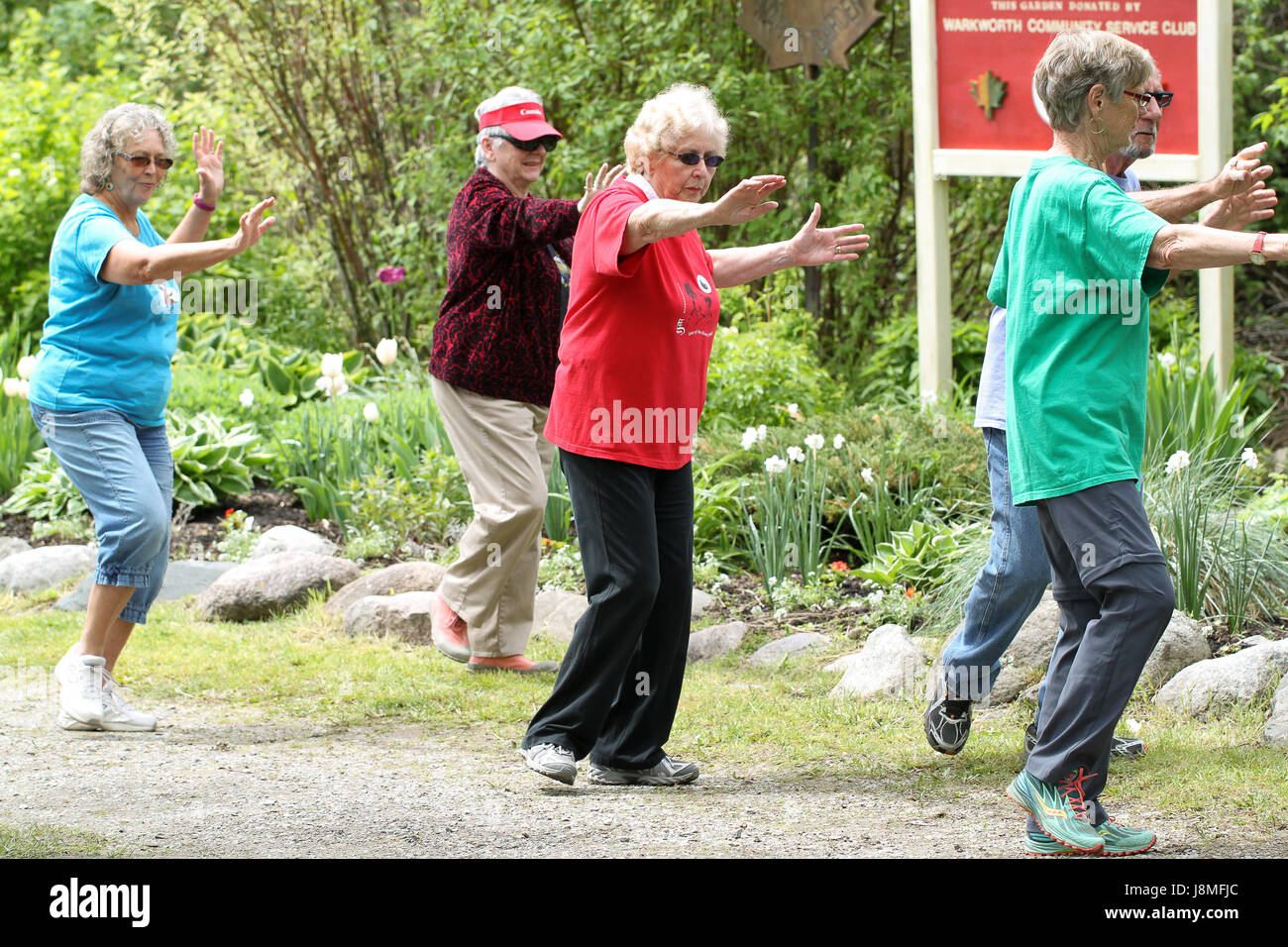 Warkworth Lilac Festival. Tai Chi dimostrazione lungo il sentiero di Lilla sul festival di fine settimana di apertura. Foto Stock