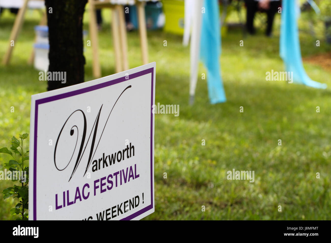 Warkworth Lilac Festival. Segno del Festival al di fuori di negozi impostato sul green. Foto Stock