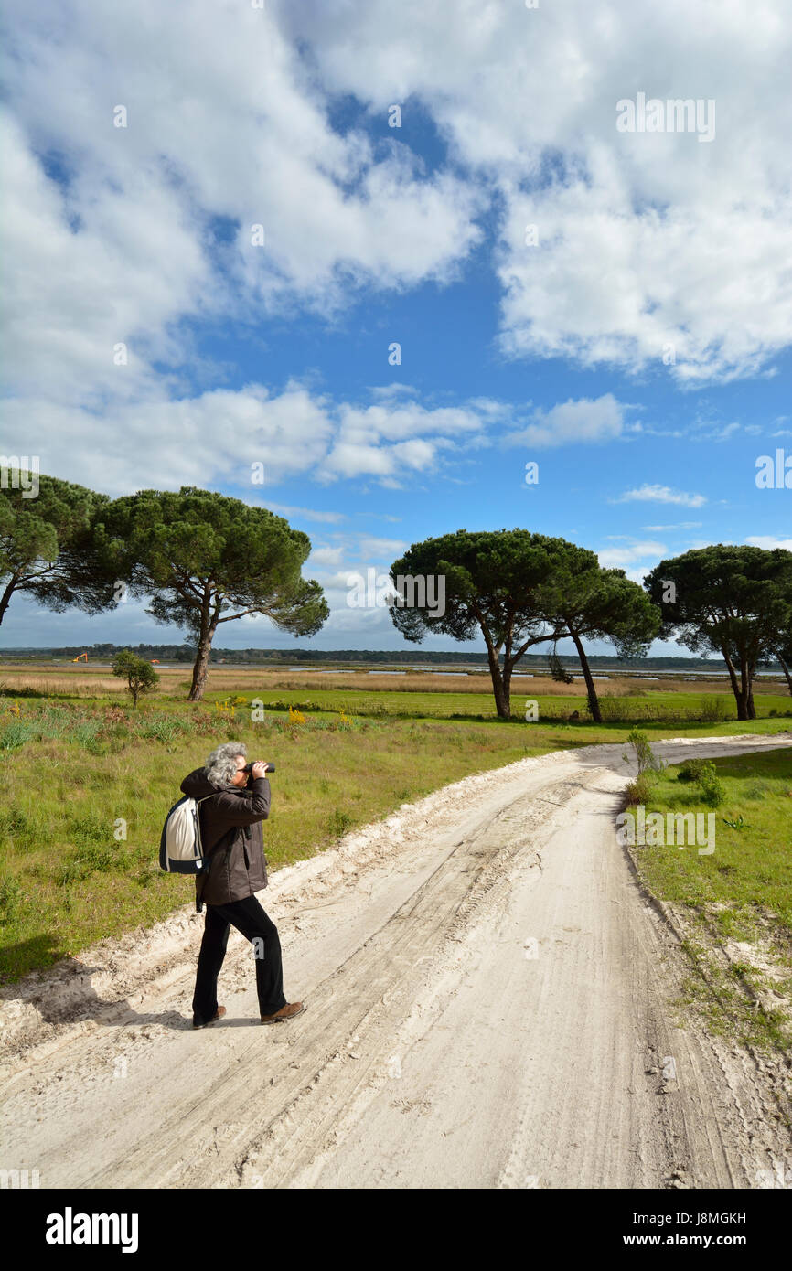 Bird watching a sull'estuario del fiume Sado Riserva Naturale lungo bellissimi sentieri. Portogallo Foto Stock