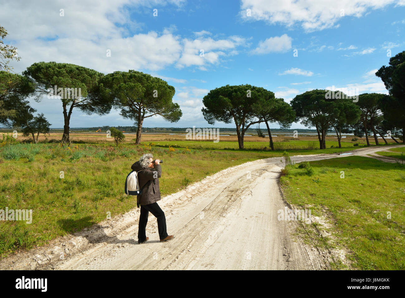 Bird watching a sull'estuario del fiume Sado Riserva Naturale lungo bellissimi sentieri. Portogallo Foto Stock