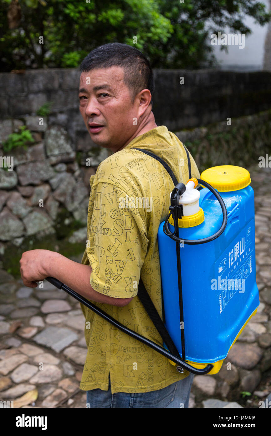 Yubei, Zhejiang, Cina. Uomo del villaggio di spruzzatura per uccidere le zanzare. Foto Stock