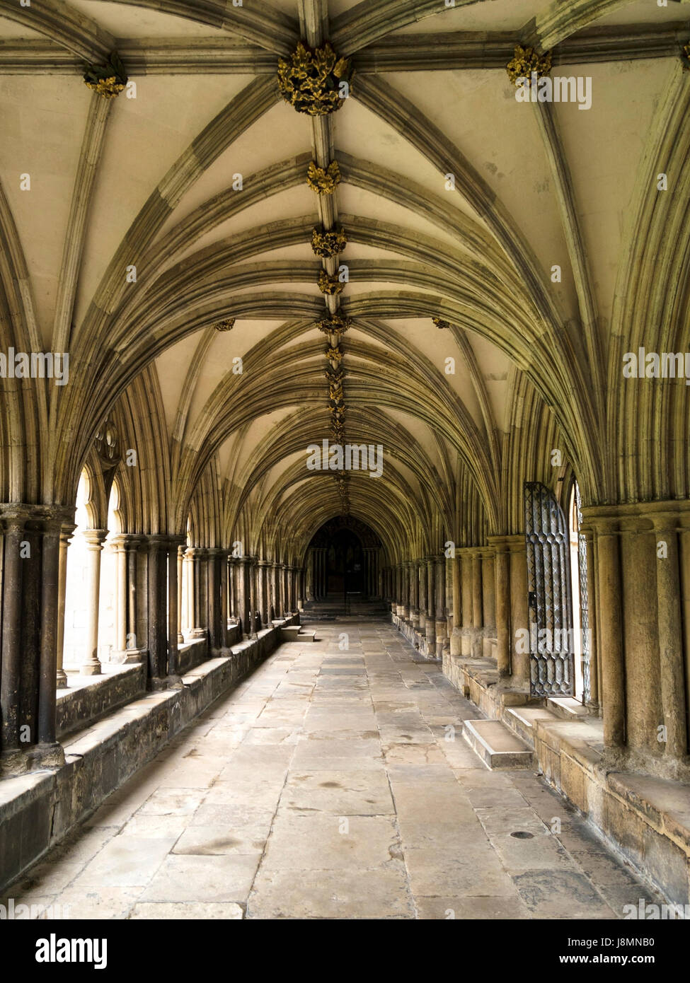 Interno del chiostro a Norwich Cathedral e Norwich, England, Regno Unito Foto Stock