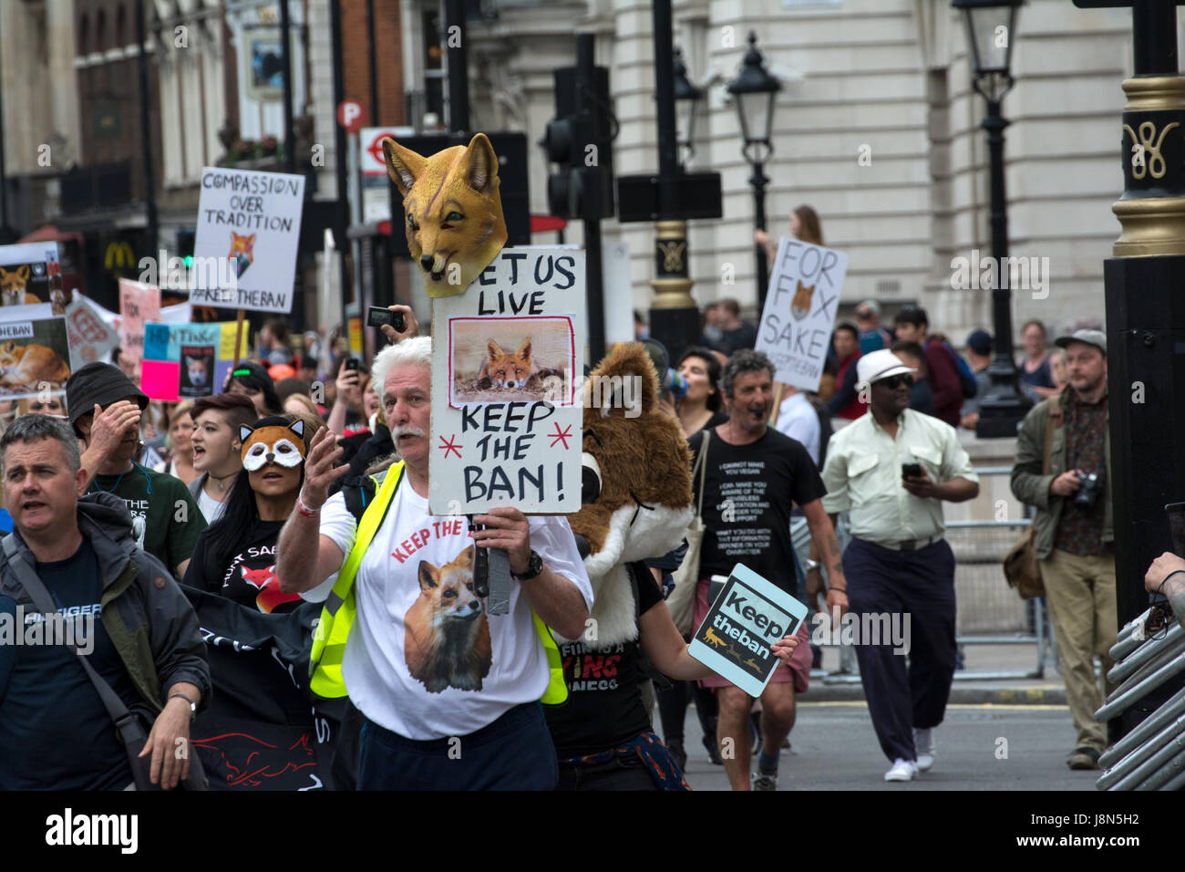 Londra, Regno Unito. 29 Maggio, 2017. Una coalizione di ant-caccia gruppi hanno organizzato un Back il divieto anti caccia alla volpe marzo a Downing Street. Essa è stata stimata intorno a 2.200 manifestanti hanno marciato dal London Oxford Circus. Credito: Steve Bell/Alamy Live News Foto Stock